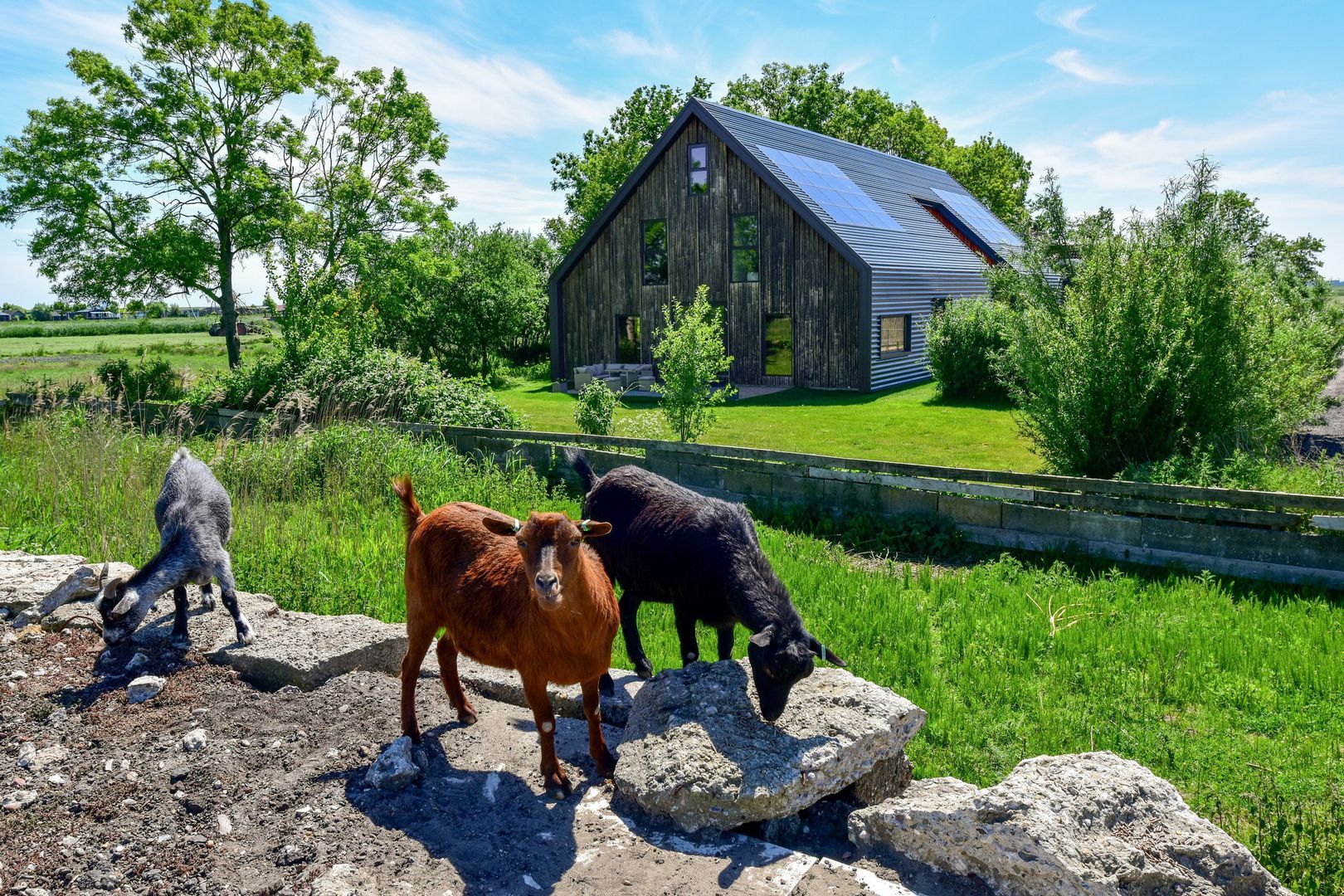 Bloemendalergouw 51 B, Amsterdam foto-0