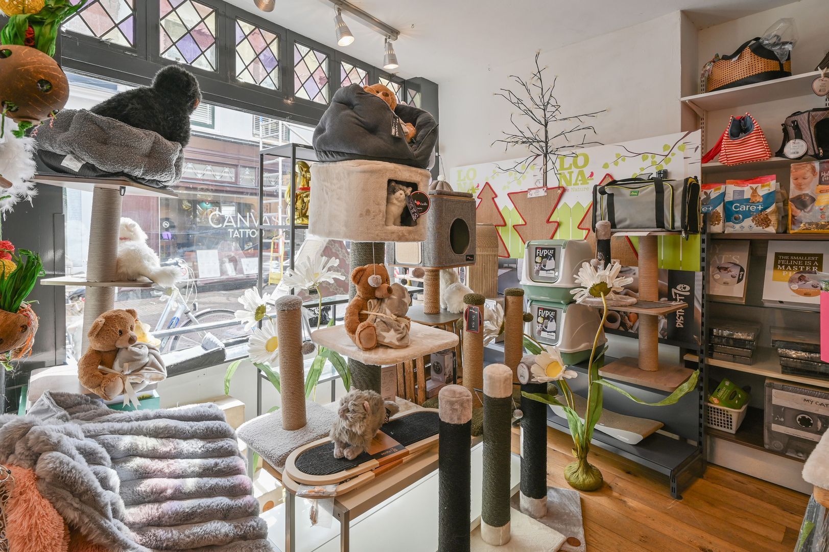 Gierstraat 64, Haarlem foto-13