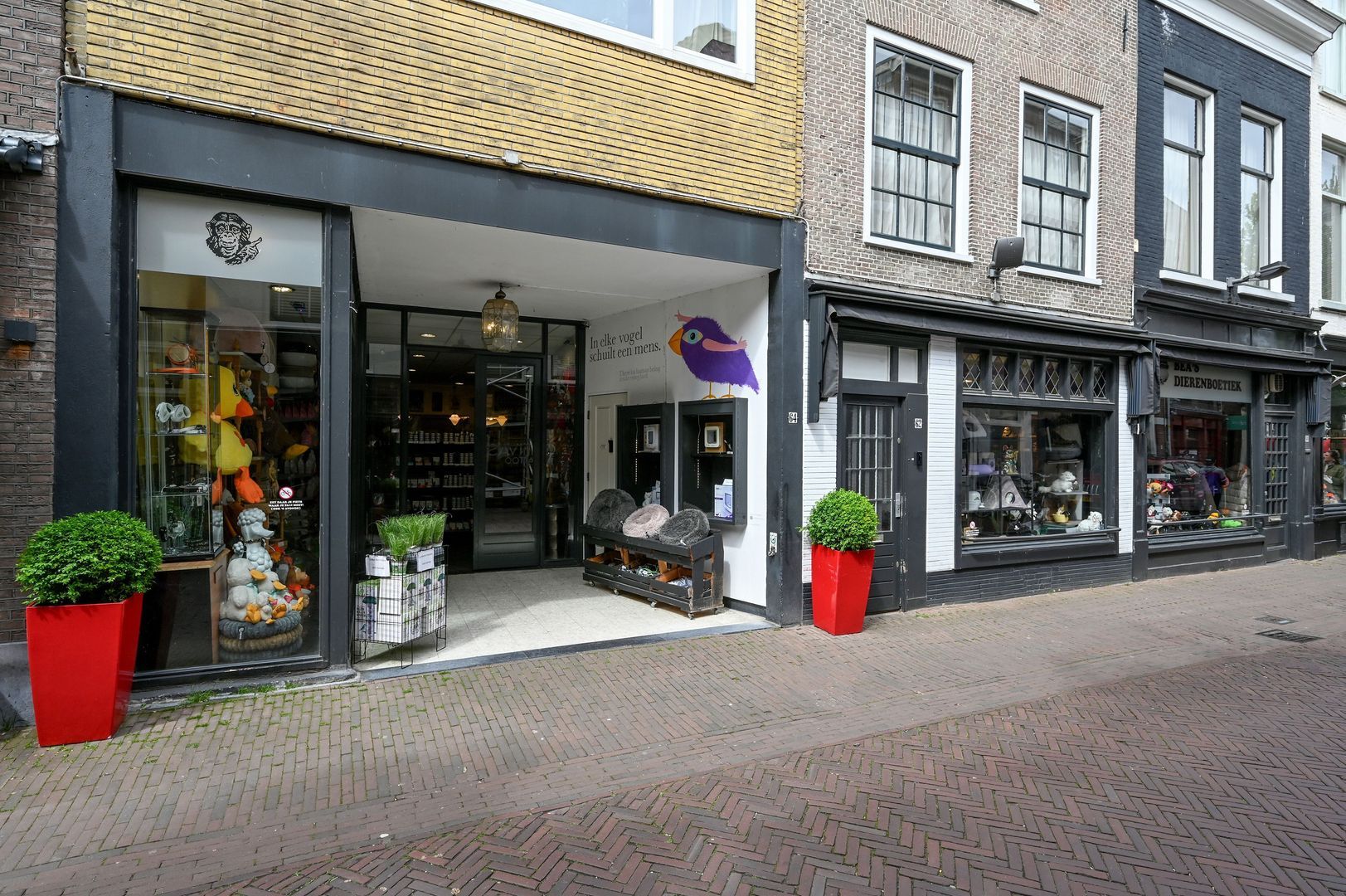 Gierstraat 64, Haarlem foto-3