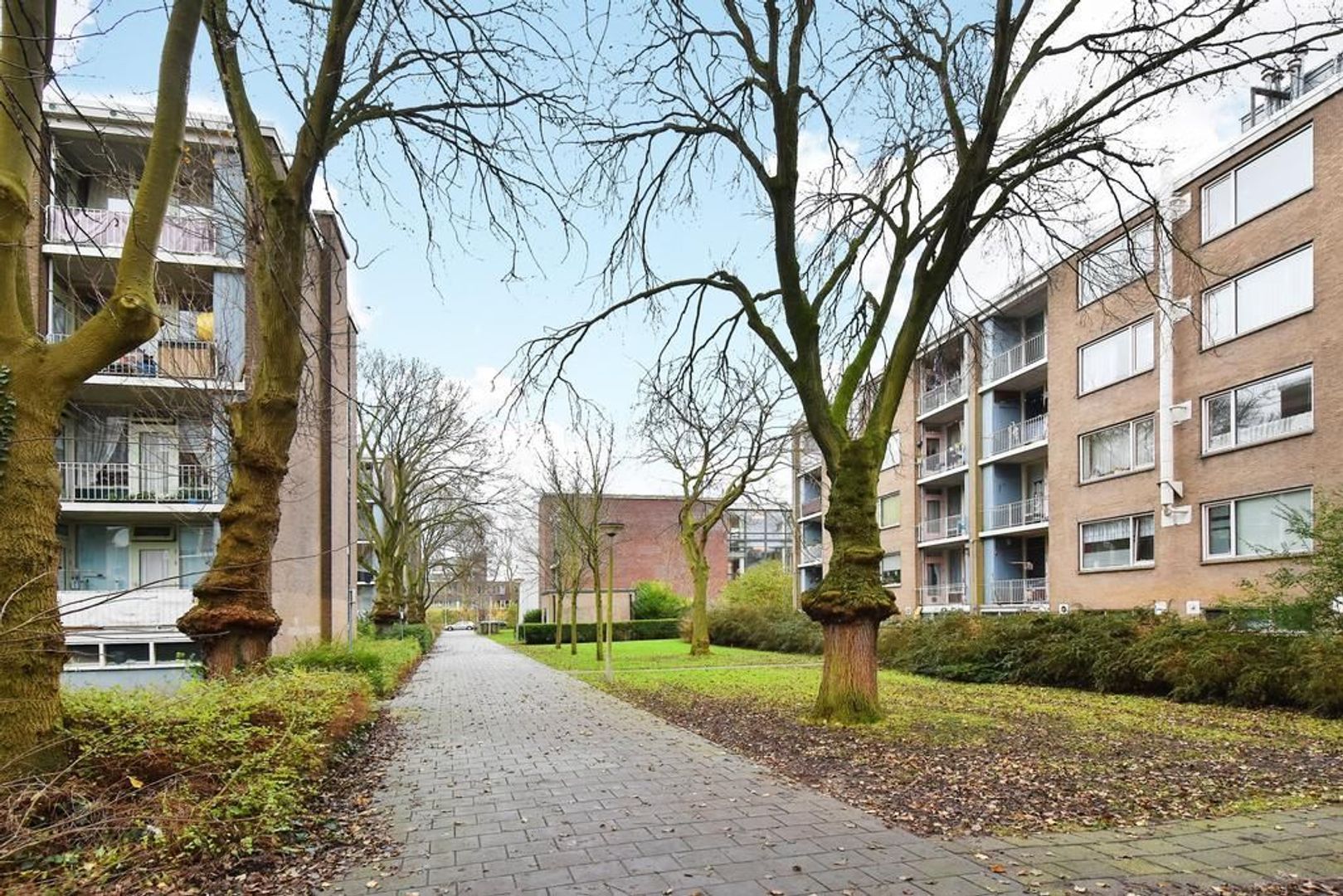 Meppelweg 242, Den Haag foto-5 blur