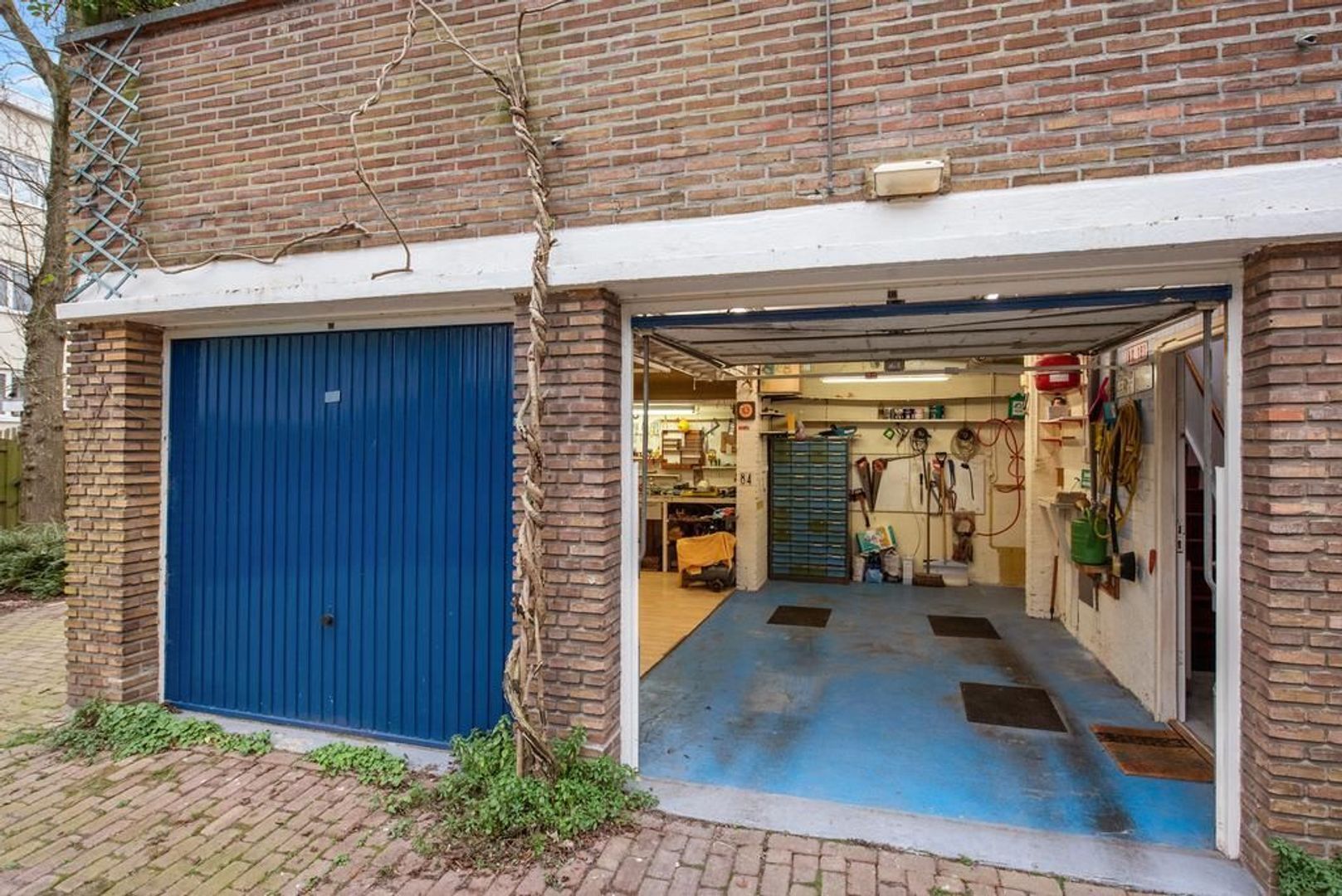 Mimosastraat 84, Den Haag foto-26 blur