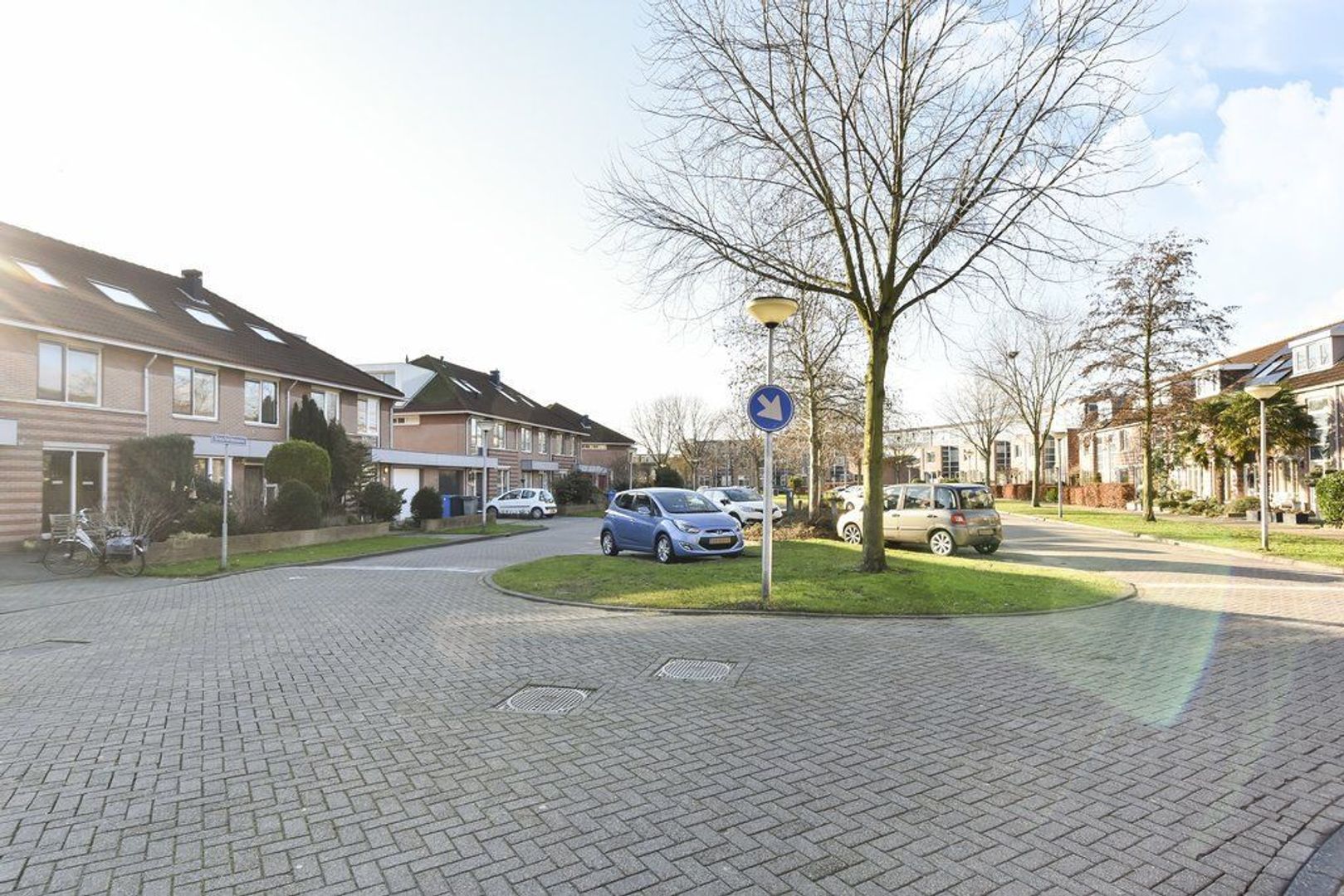 Sleutelbloem 3, Nootdorp foto-36 blur