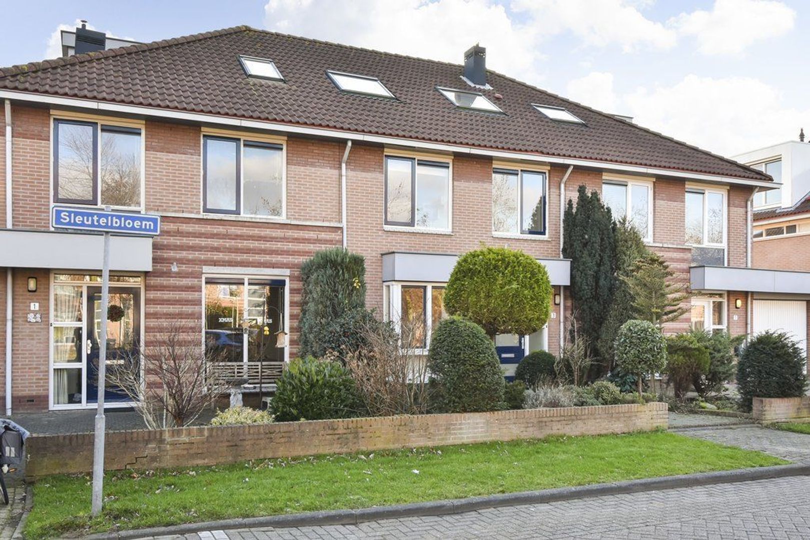Sleutelbloem 3, Nootdorp foto-37 blur