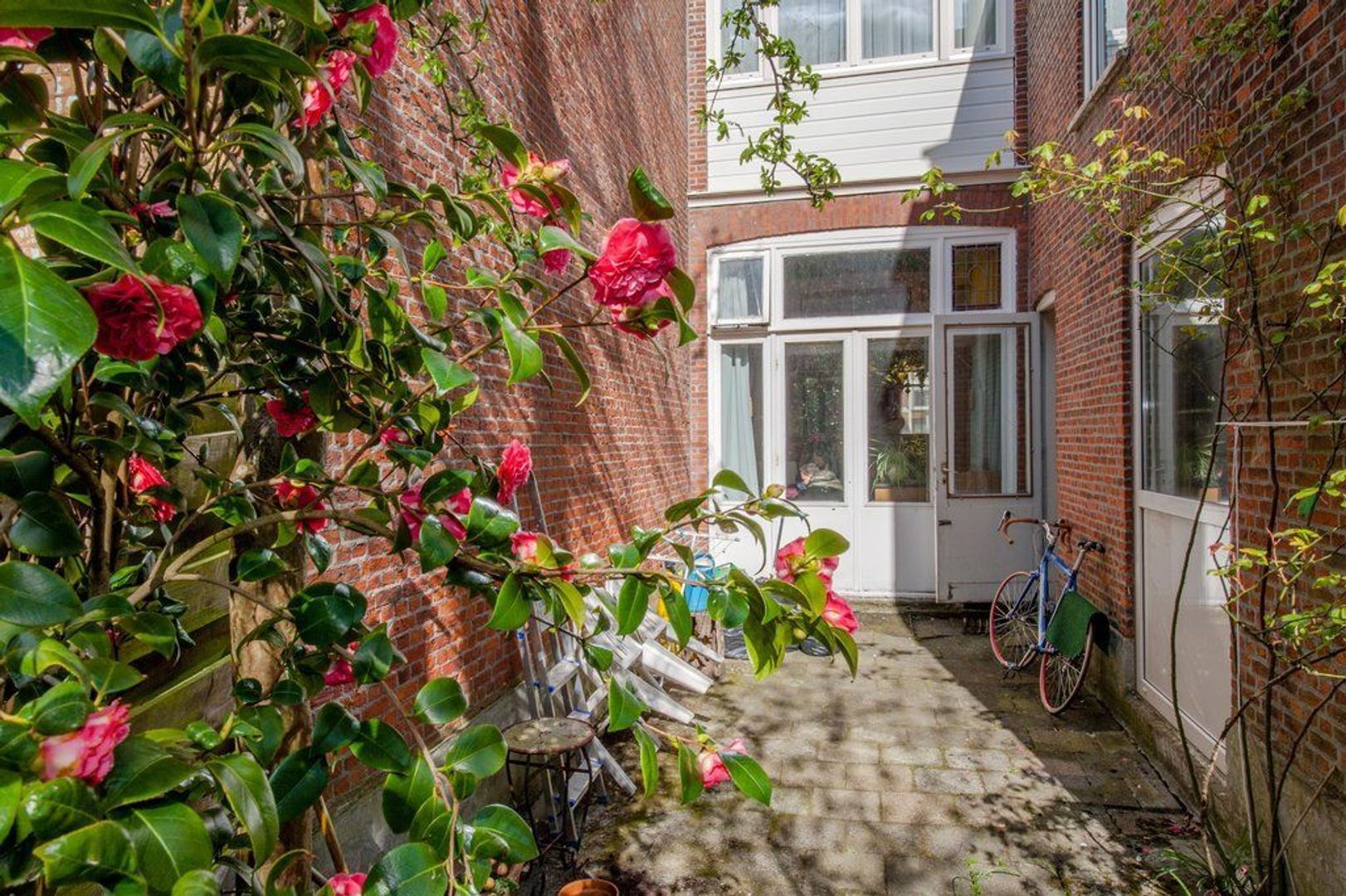 Rijklof van Goensstraat 65, Den Haag foto-23 blur