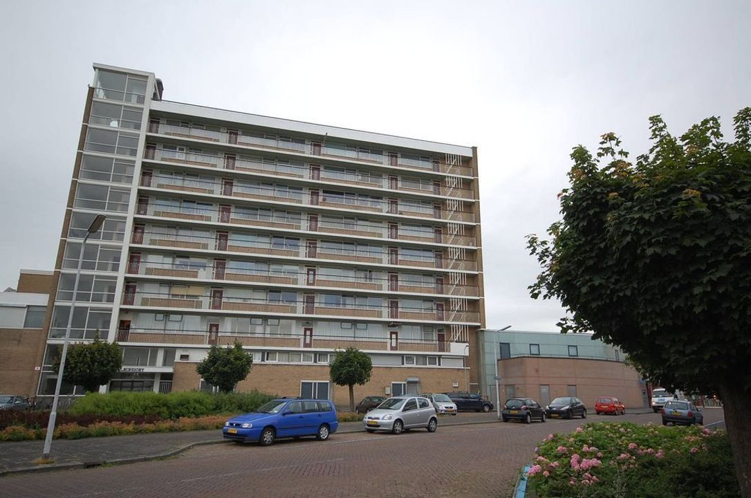 van Tuyll van Serooskerkenstraat 113