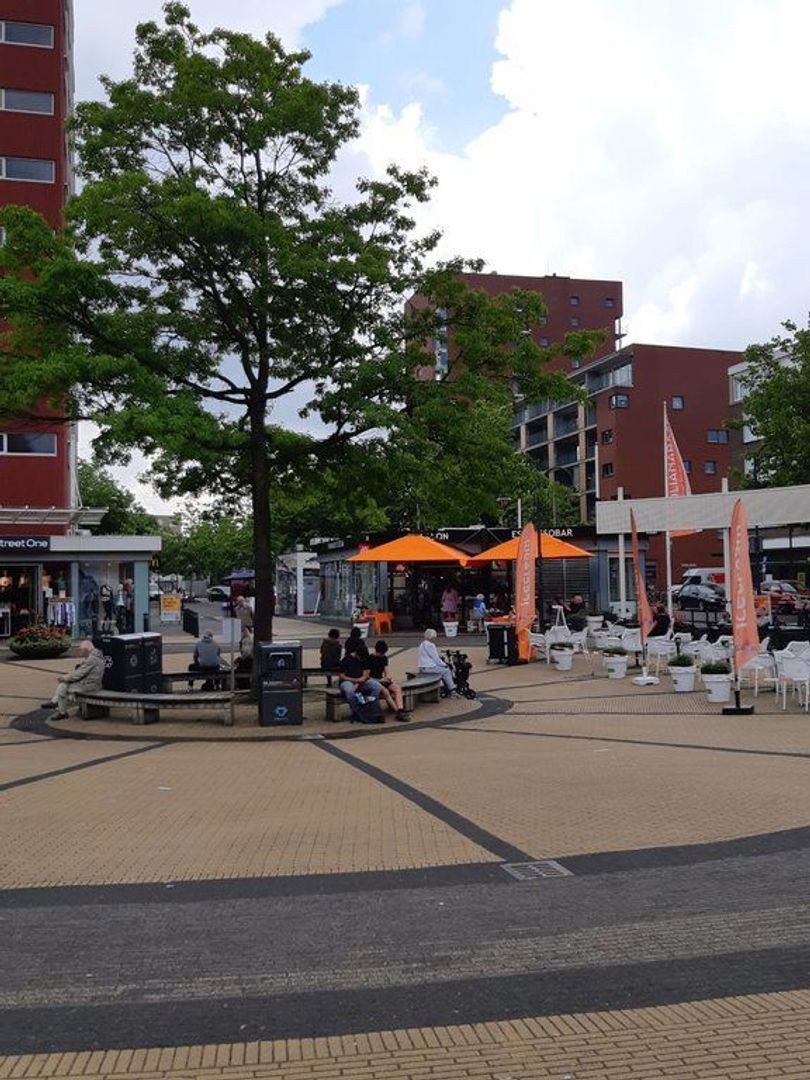 van Tuyll van Serooskerkenstraat 113, Voorburg foto-15 blur