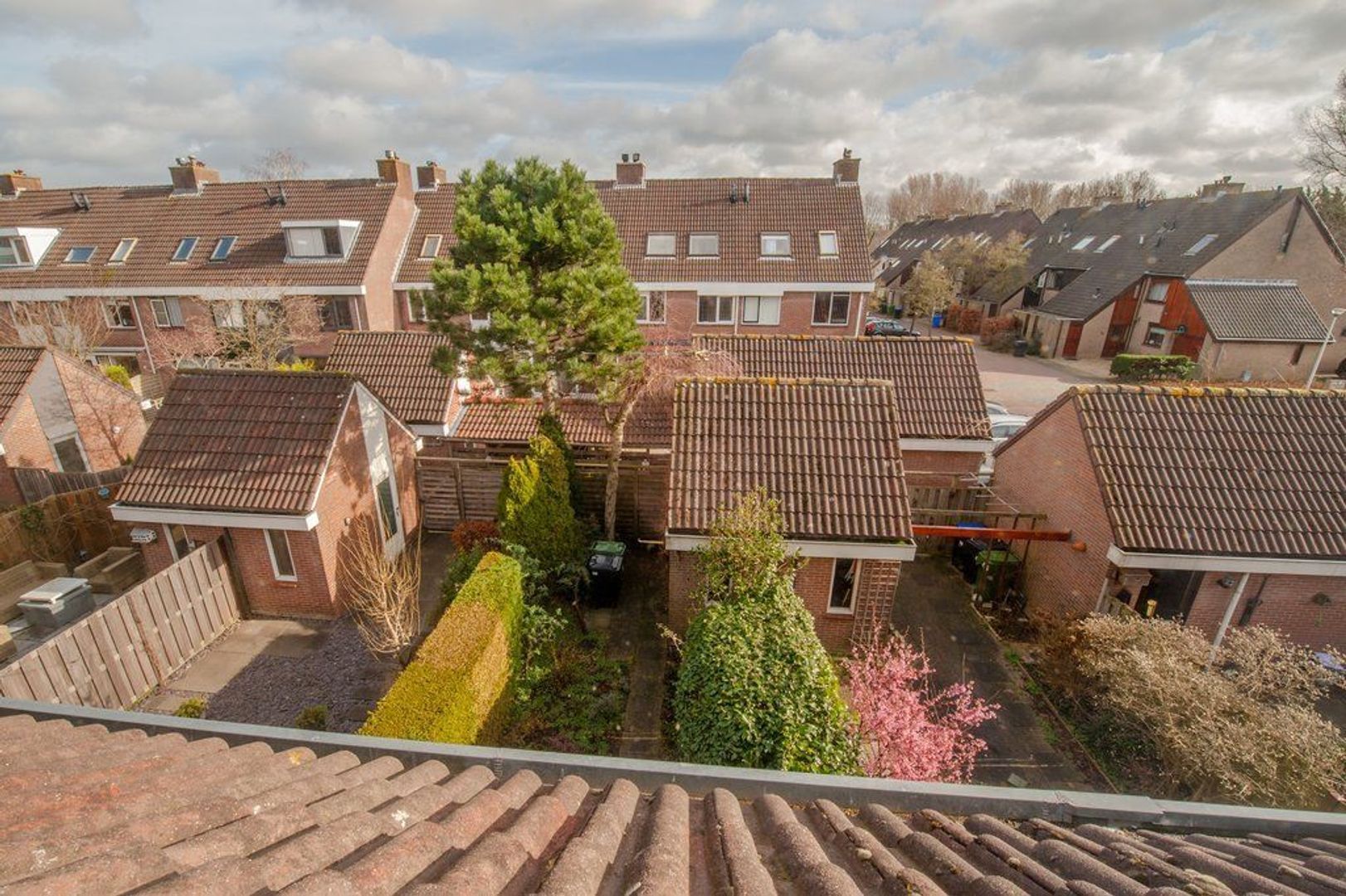 Het Wedde 68, Voorschoten foto-30 blur
