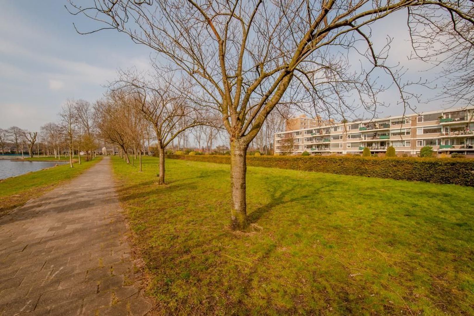 Apollolaan 720, Leiden foto-41 blur