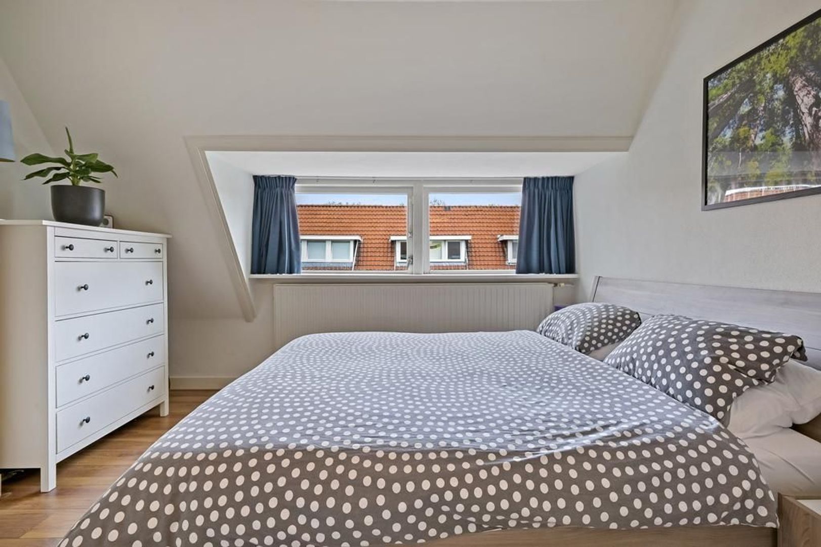 Druivenstraat 42, Den Haag foto-15 blur