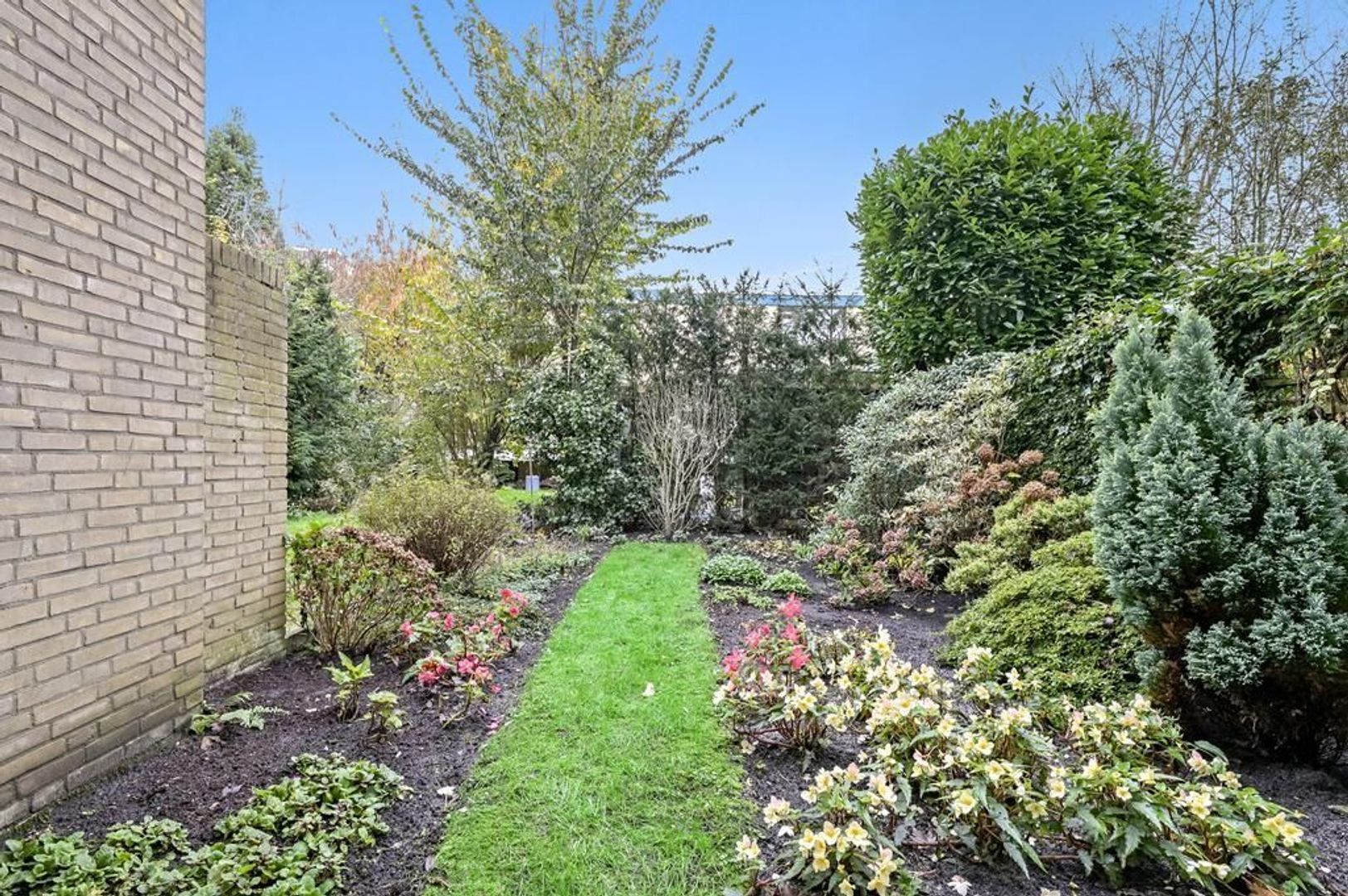 Aaltje Noordewierstraat 92, Den Haag foto-9 blur