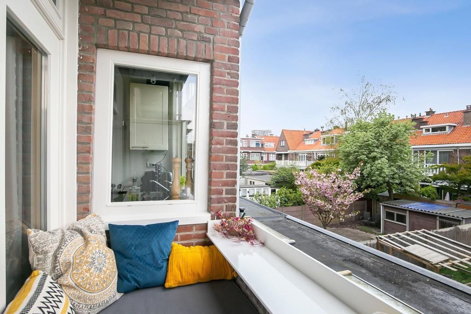 Vlierboomstraat 559, Den Haag foto-19 blur