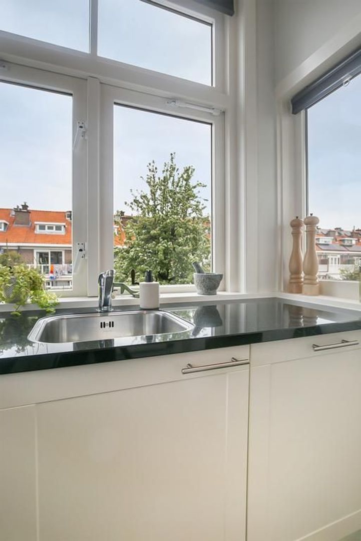 Vlierboomstraat 559, Den Haag foto-25 blur