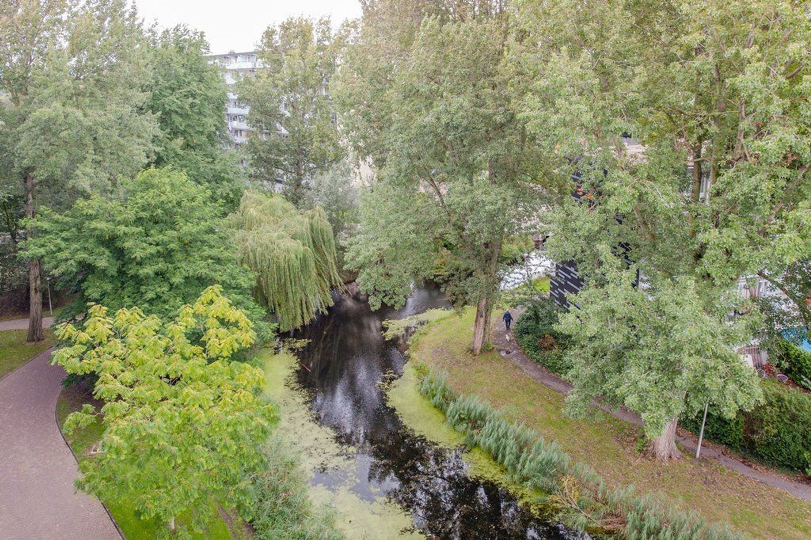 Condorhorst 143, Leiden foto-36 blur