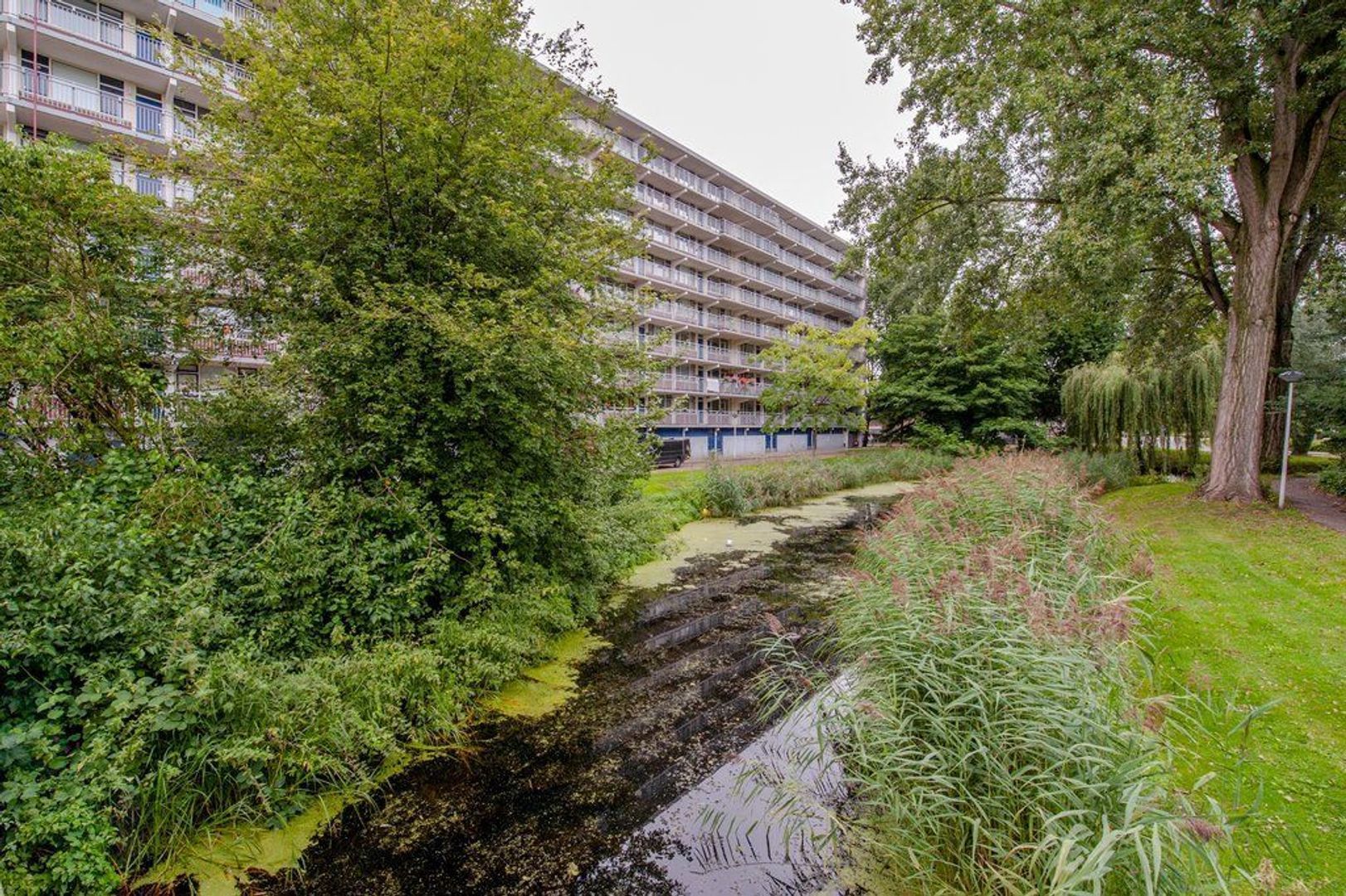 Condorhorst 143, Leiden foto-39 blur