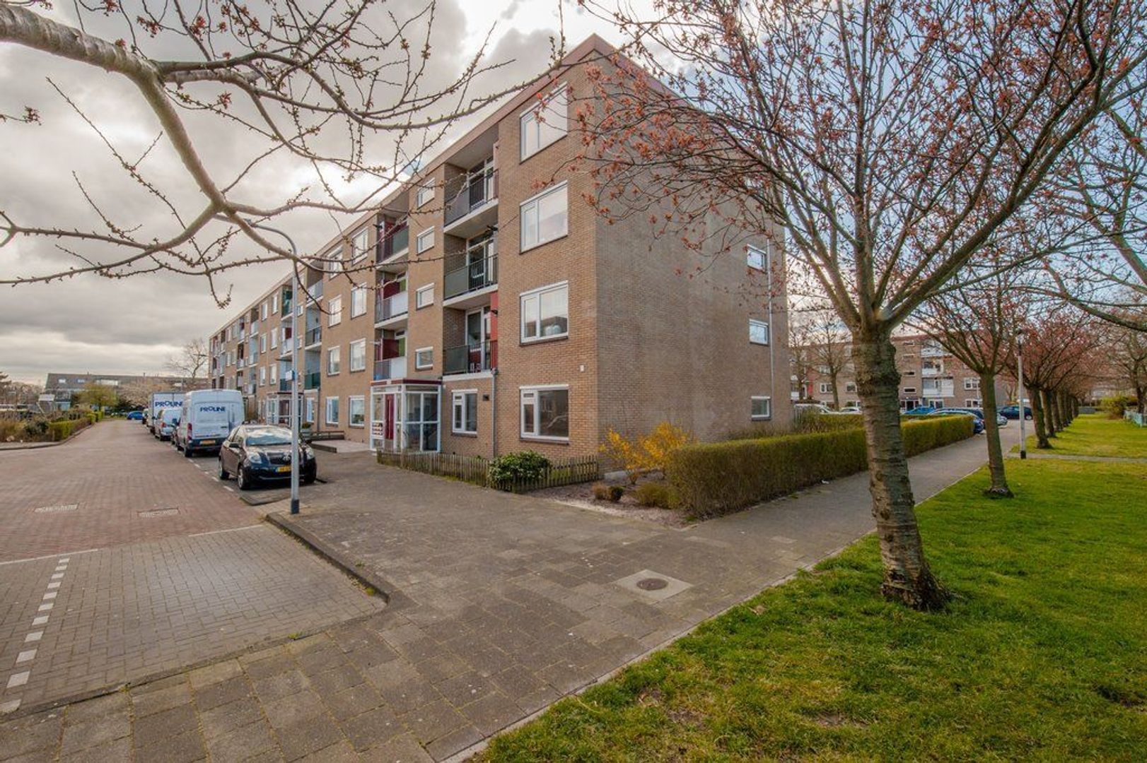 Lavendelhof 29, Noordwijk foto-28 blur