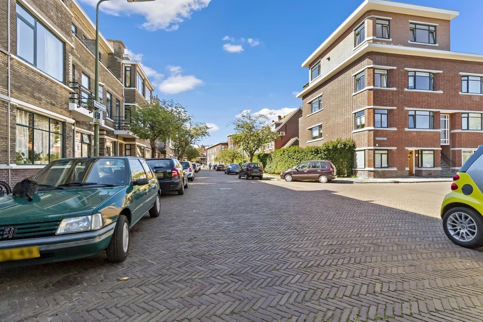 Bosbesstraat 100, Den Haag foto-27 blur