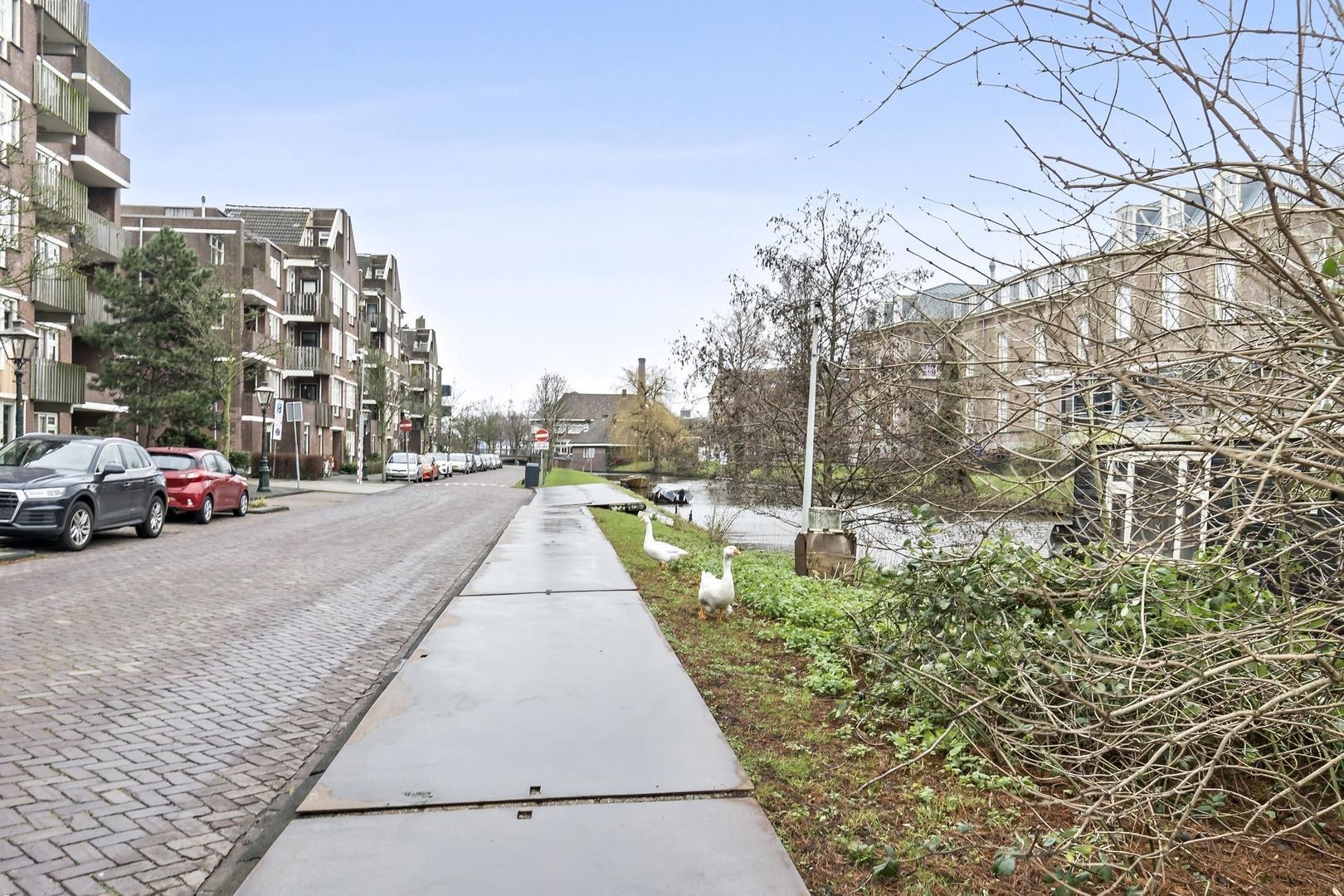 Morssingel 243, Leiden foto-29 blur