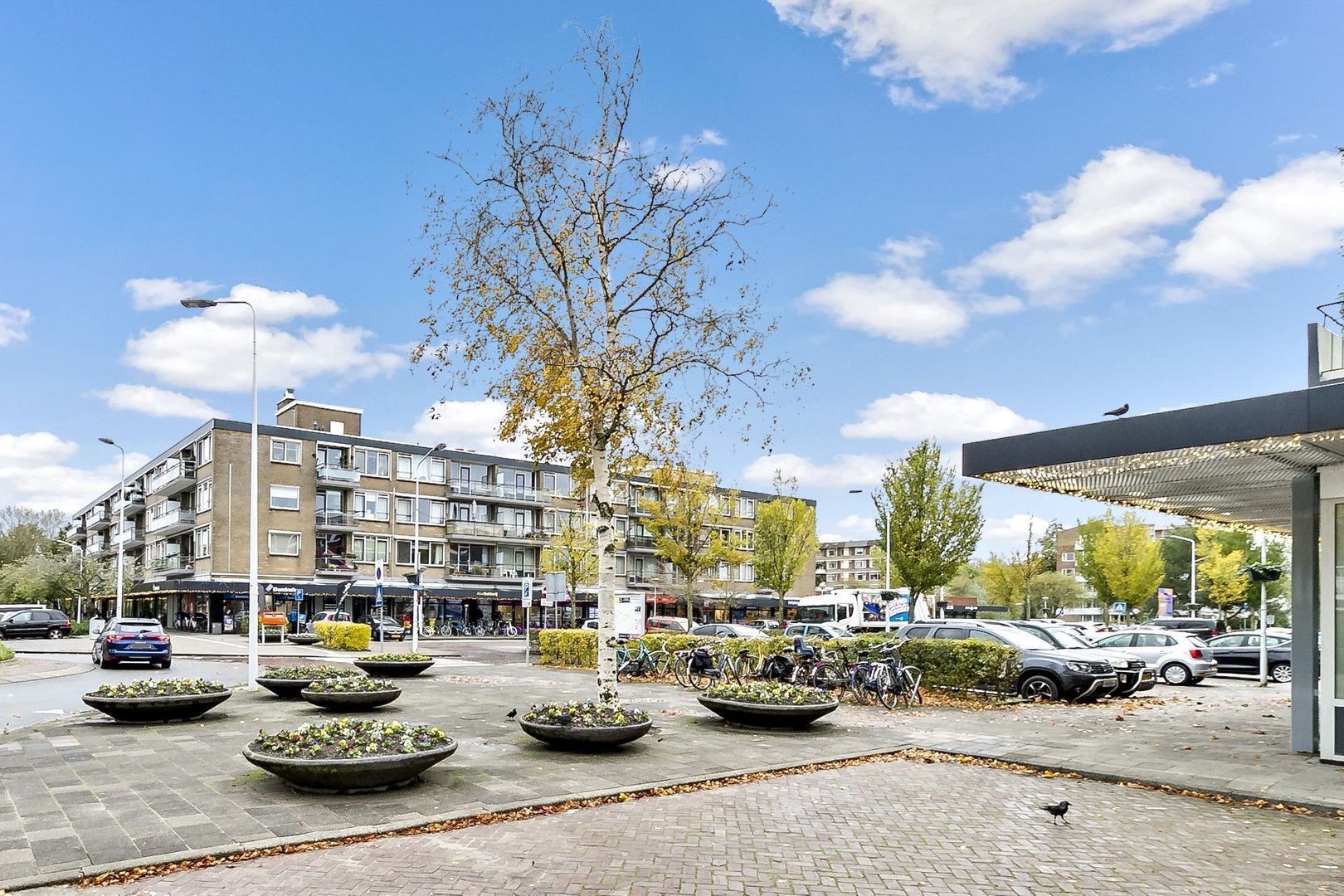 Joseph Haydnlaan 64, Leiden foto-23 blur