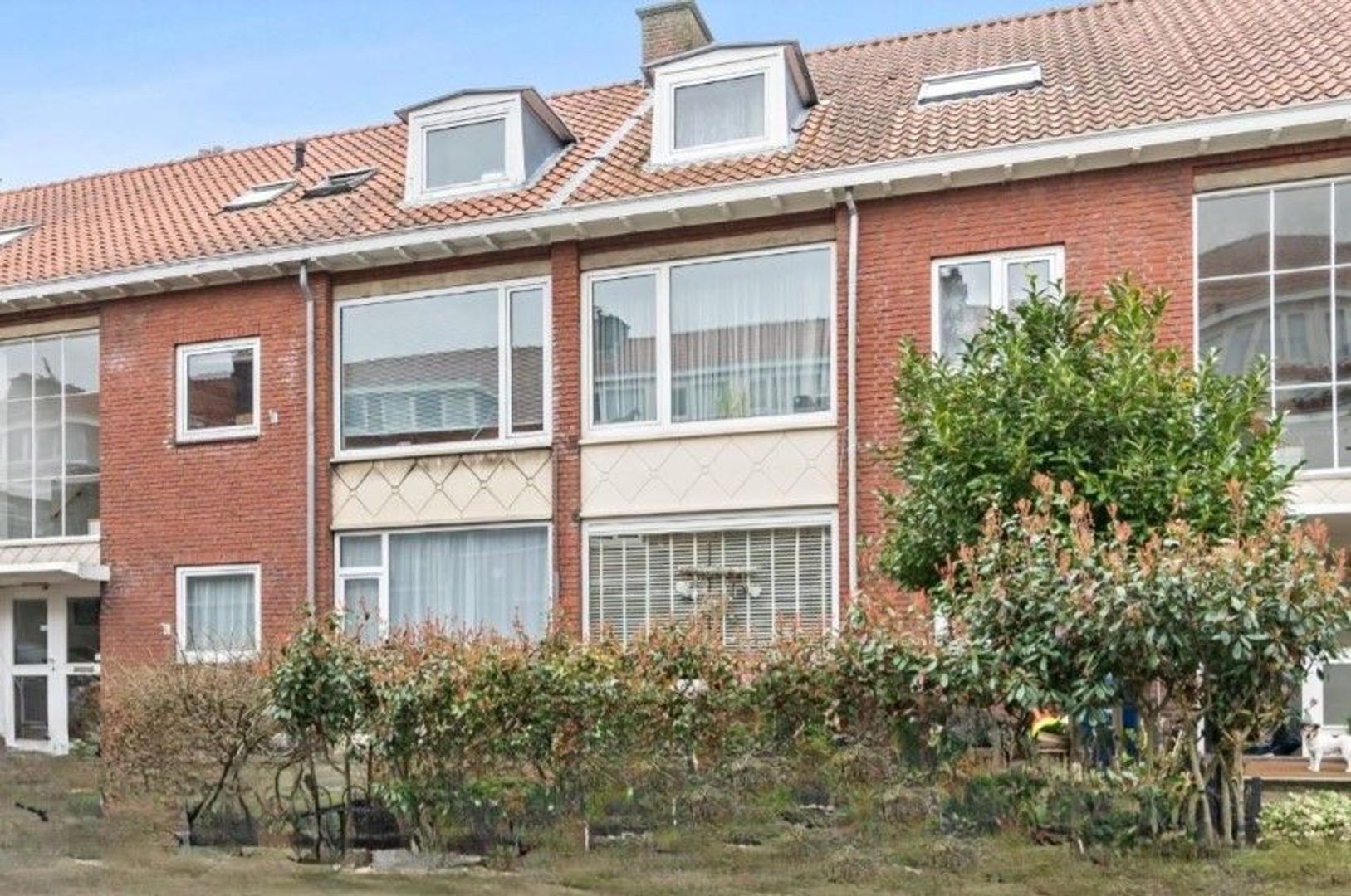 Goudreinetstraat 444, Den Haag foto-4 blur
