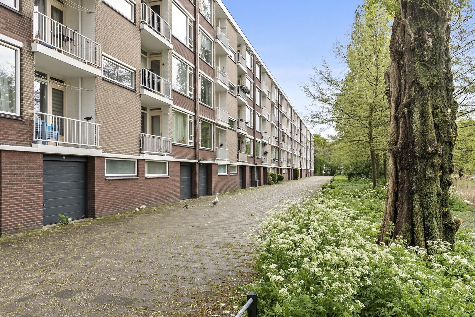 Mahlerstraat 94, Leiden foto-43 blur