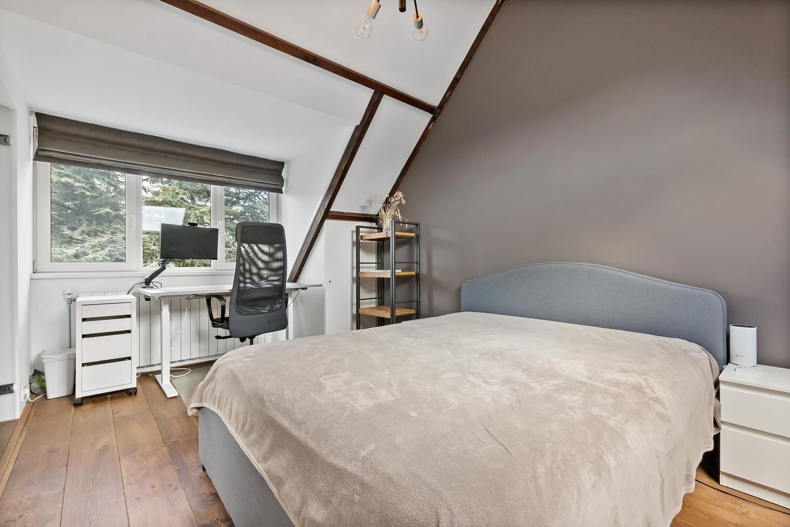 Louis Elsevierstraat 4, Leiden foto-31 blur