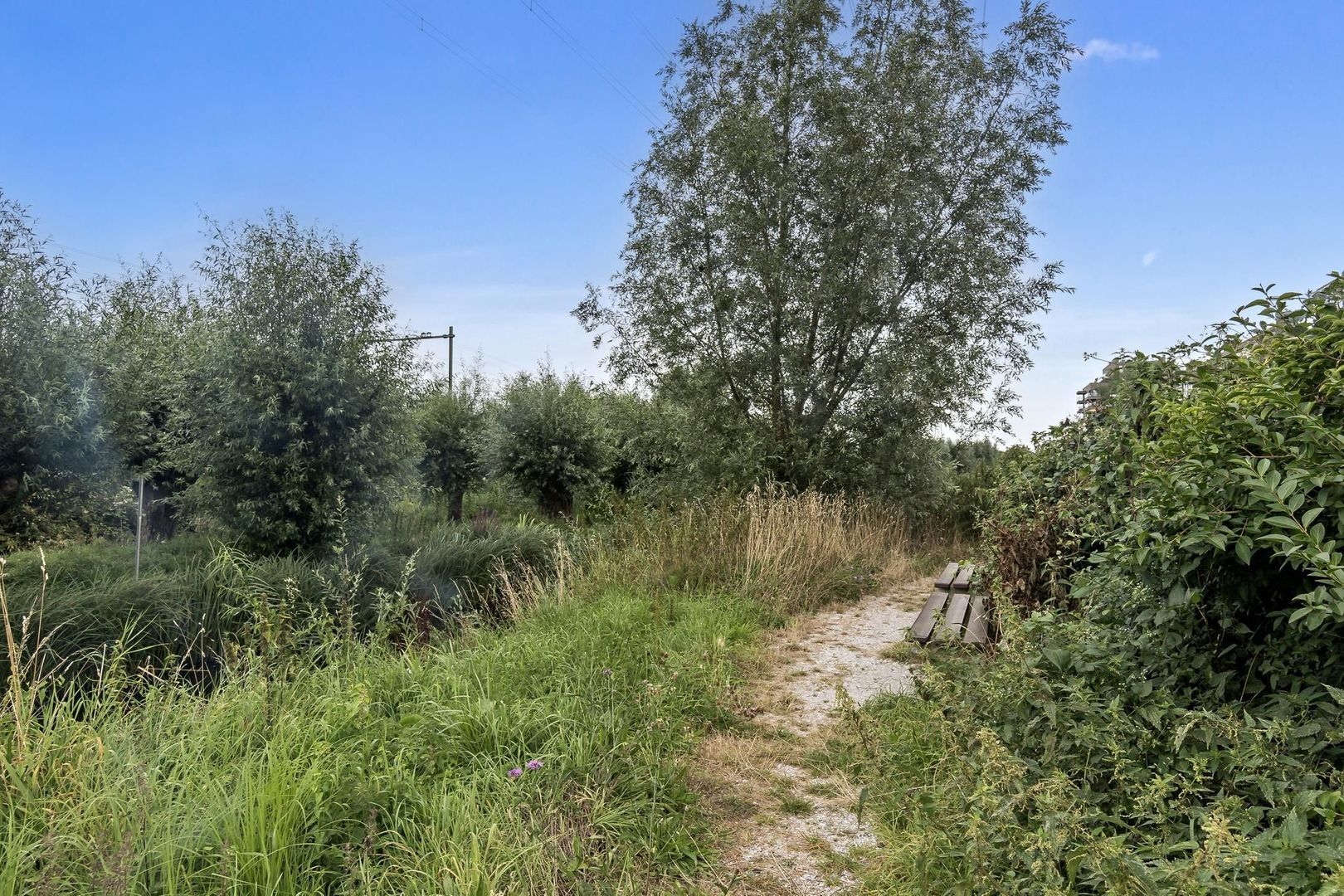Nicolaas Beetslaan 268, Voorburg foto-28 blur