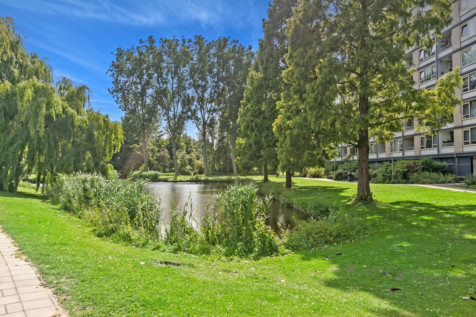 Burgemeester Van Haarenlaan 1362, Schiedam foto-31 blur
