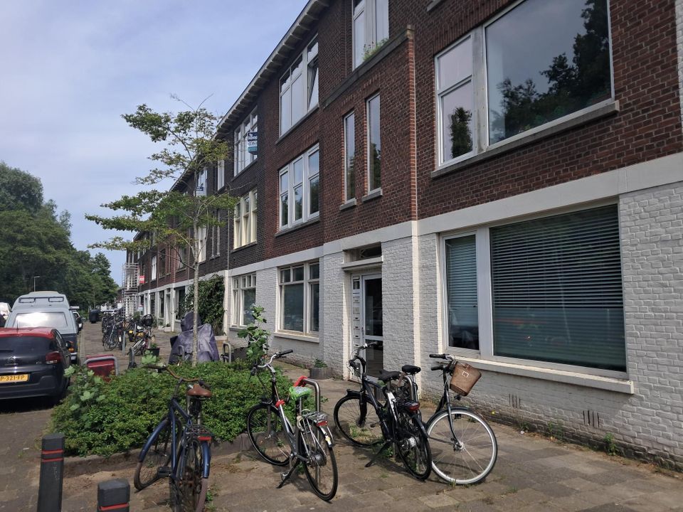 van Alphenstraat 5