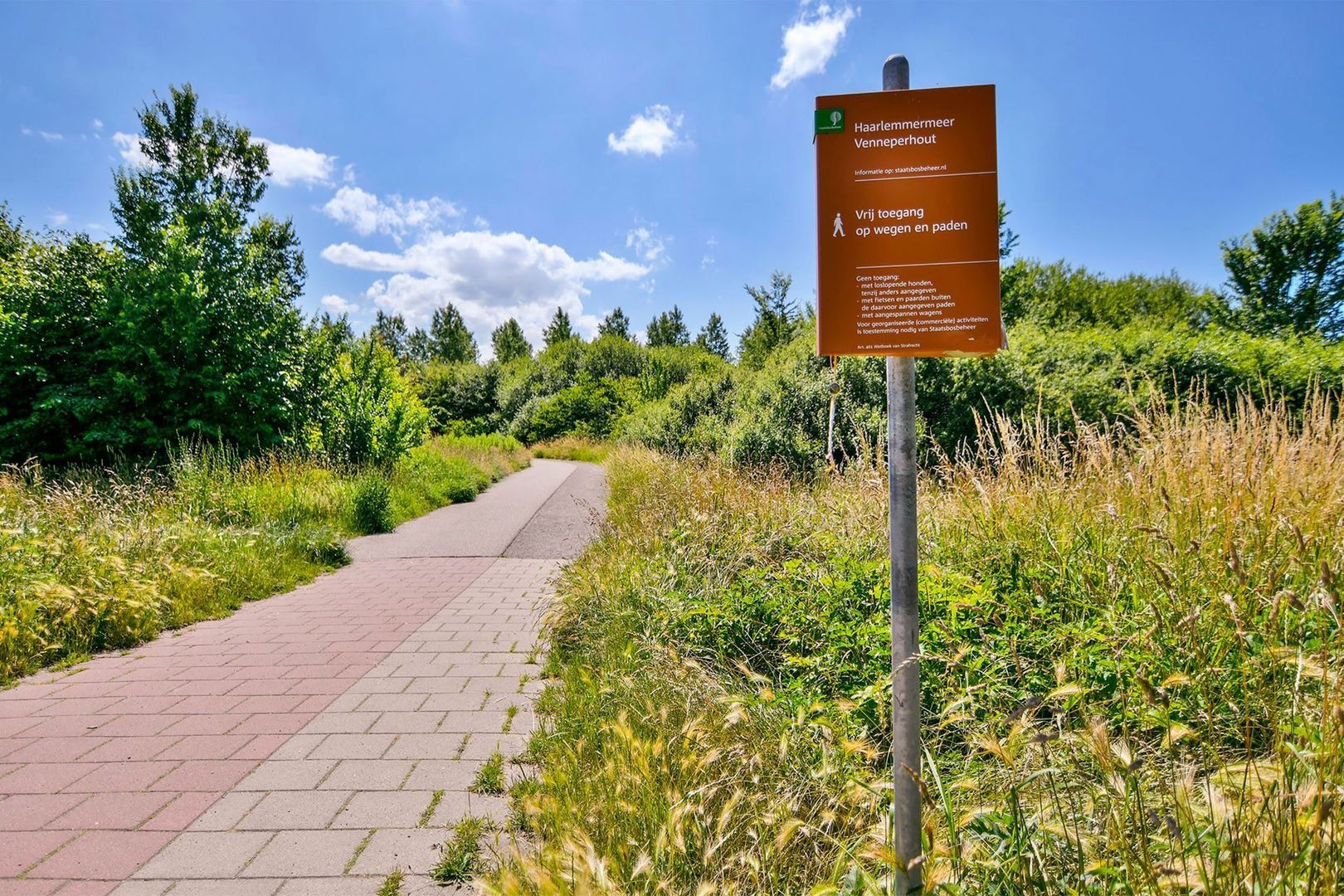 Blechtekum 2, Nieuw-Vennep foto-39 blur