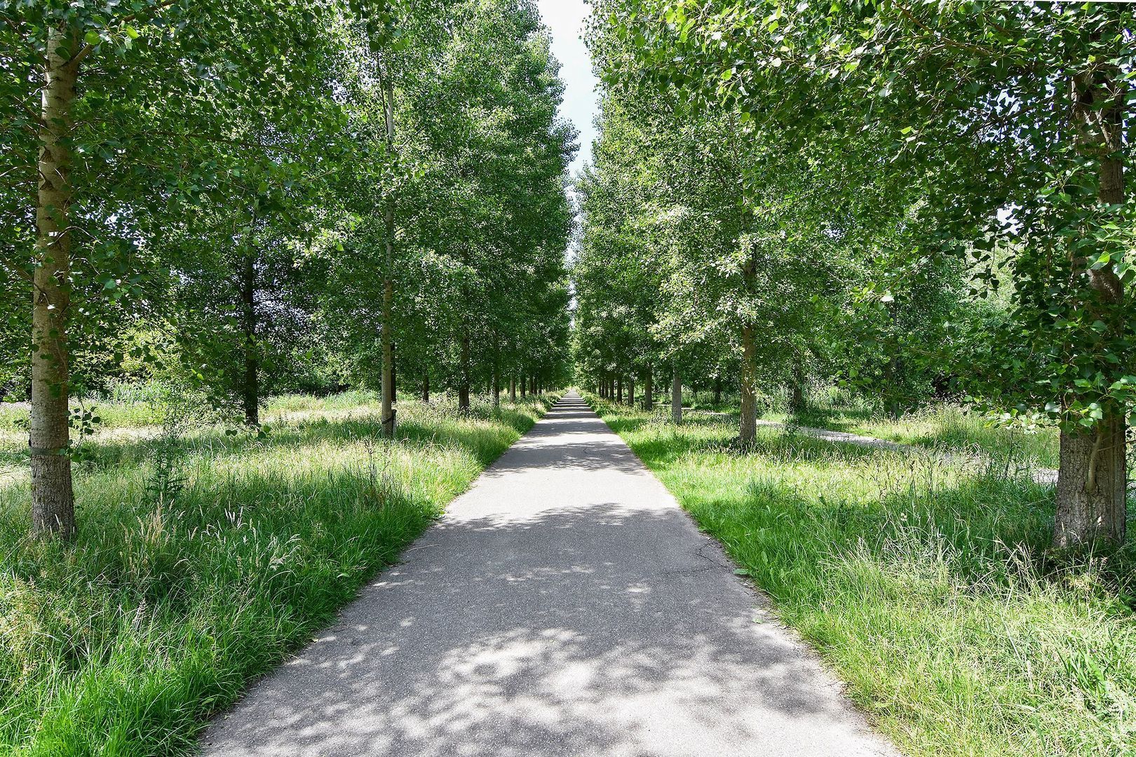 Blechtekum 2, Nieuw-Vennep foto-42 blur