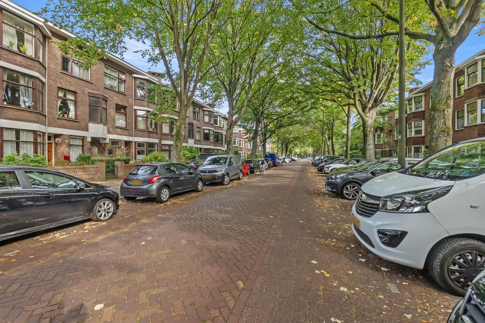 Caan van Necklaan 107, Rijswijk foto-44 blur