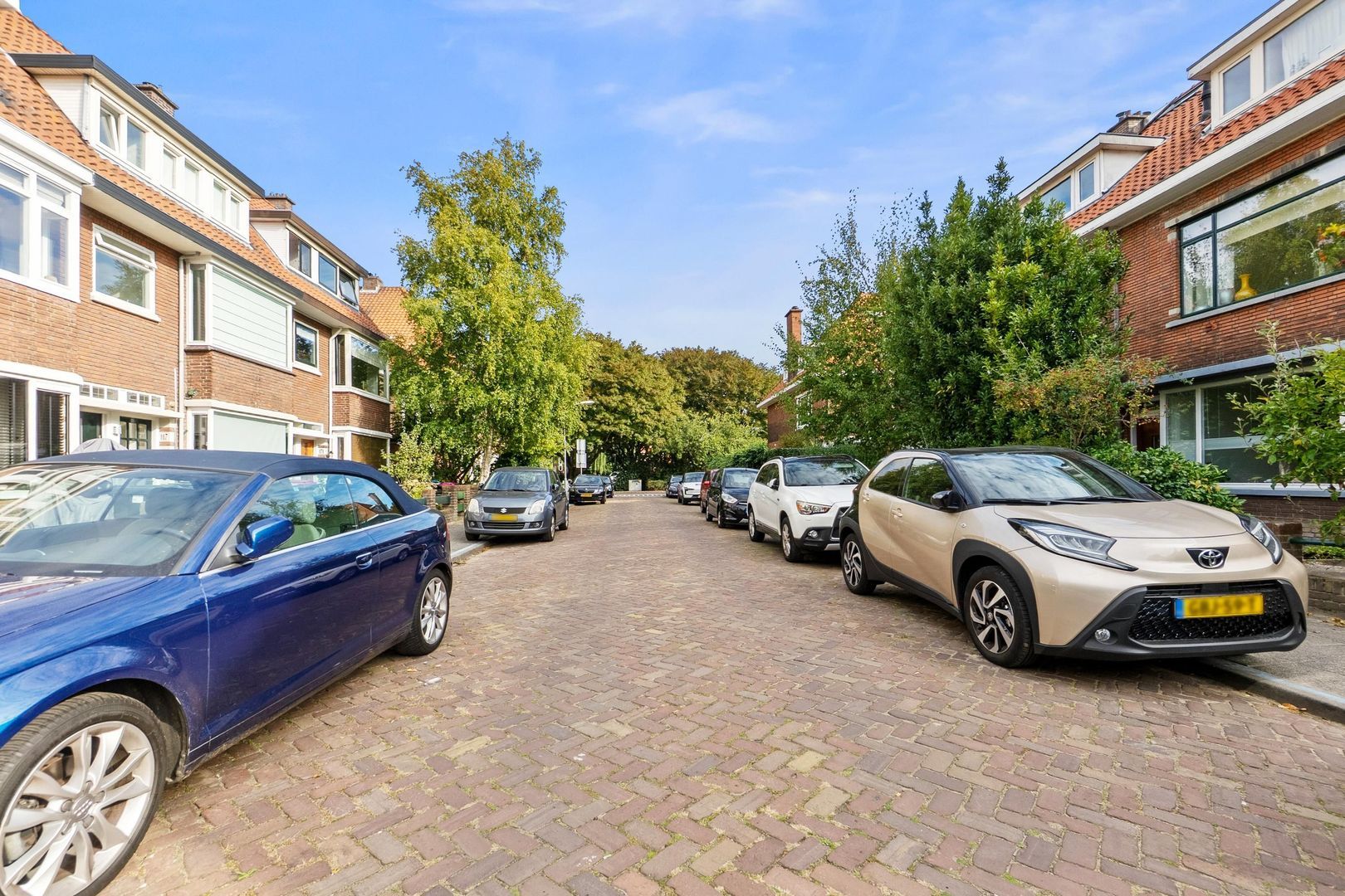 Jacob Catsstraat 159, Voorburg foto-39 blur