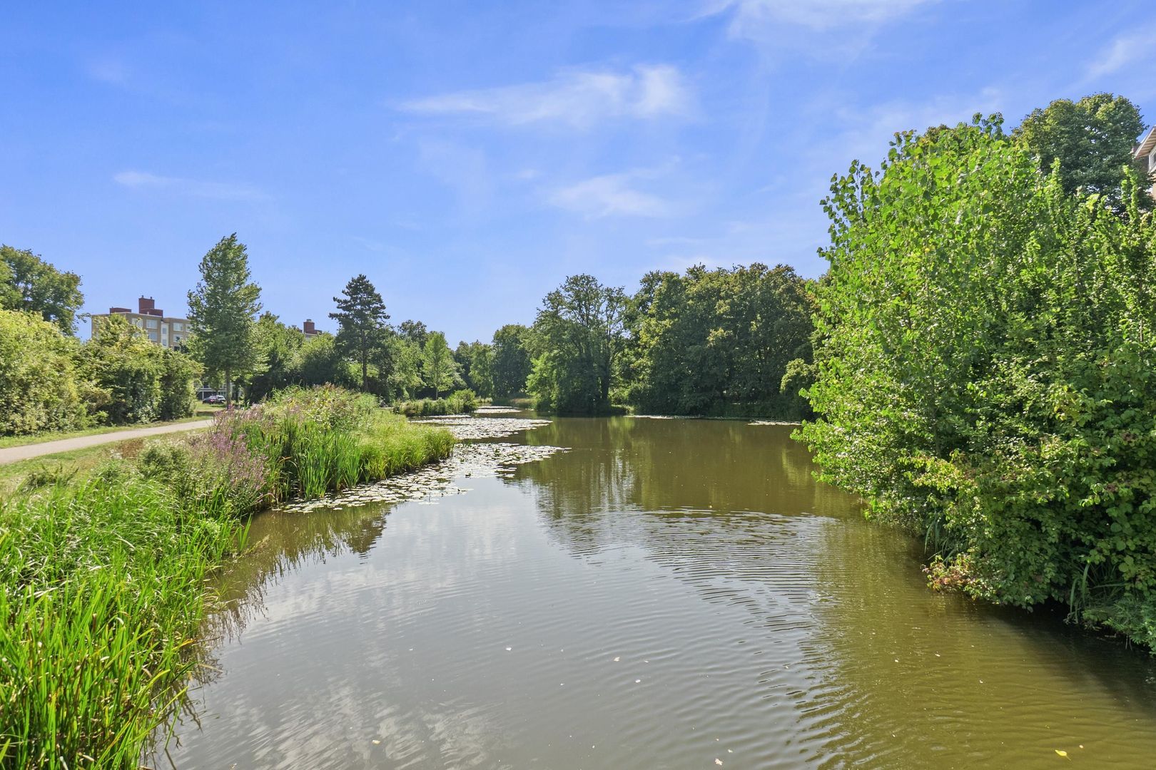 Sportlaan 110, Den Haag foto-43 blur