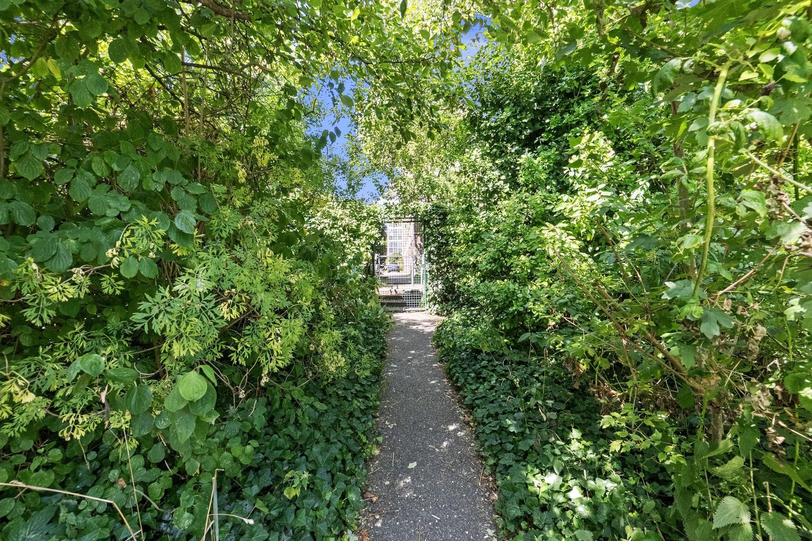 Sportlaan 110, Den Haag foto-39 blur