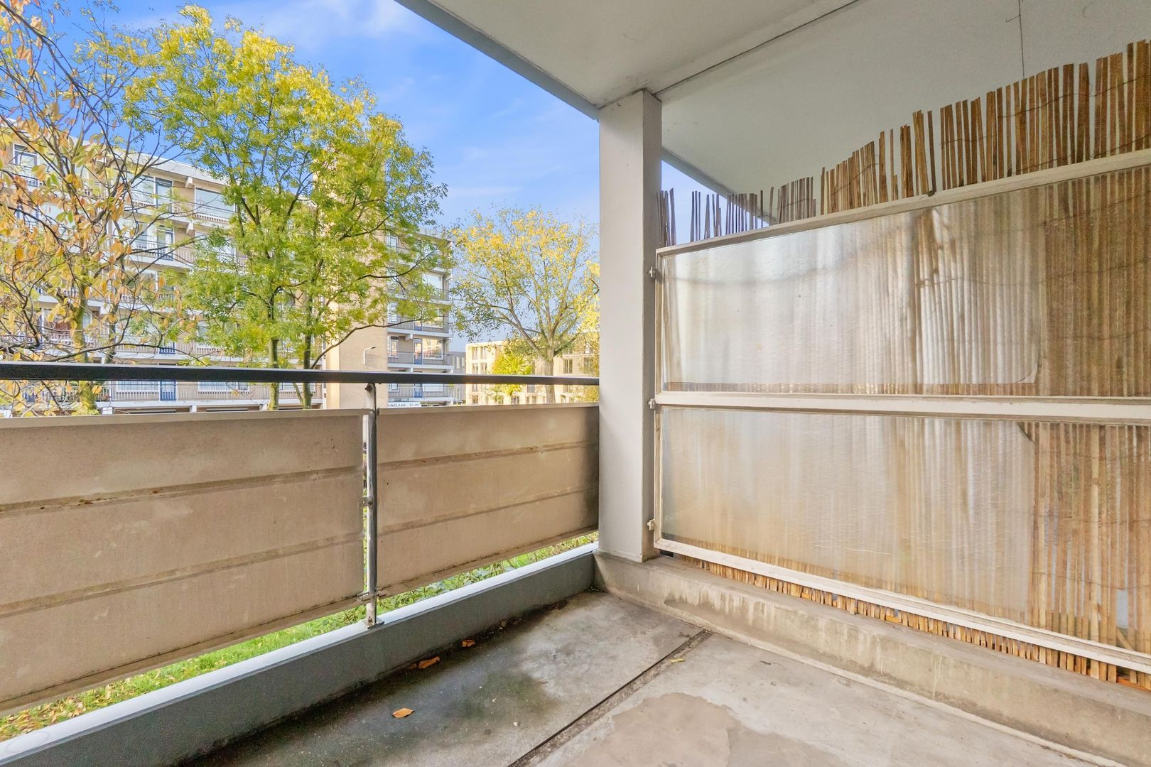 Boerhaavelaan 211, Leiden foto-17 blur