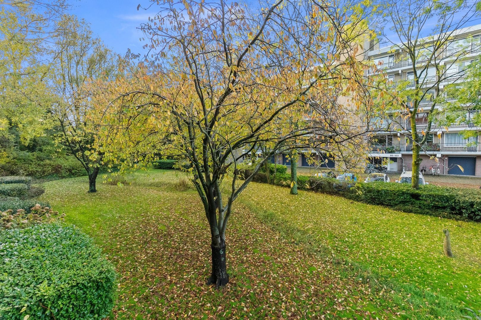 Boerhaavelaan 211, Leiden foto-21 blur