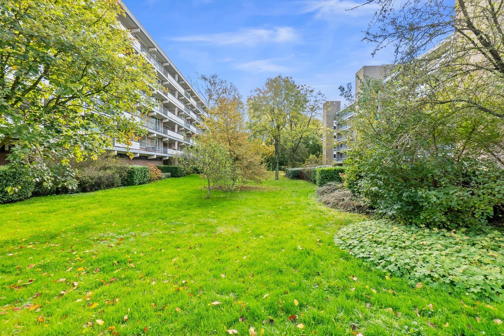 Boerhaavelaan 211, Leiden foto-3 blur