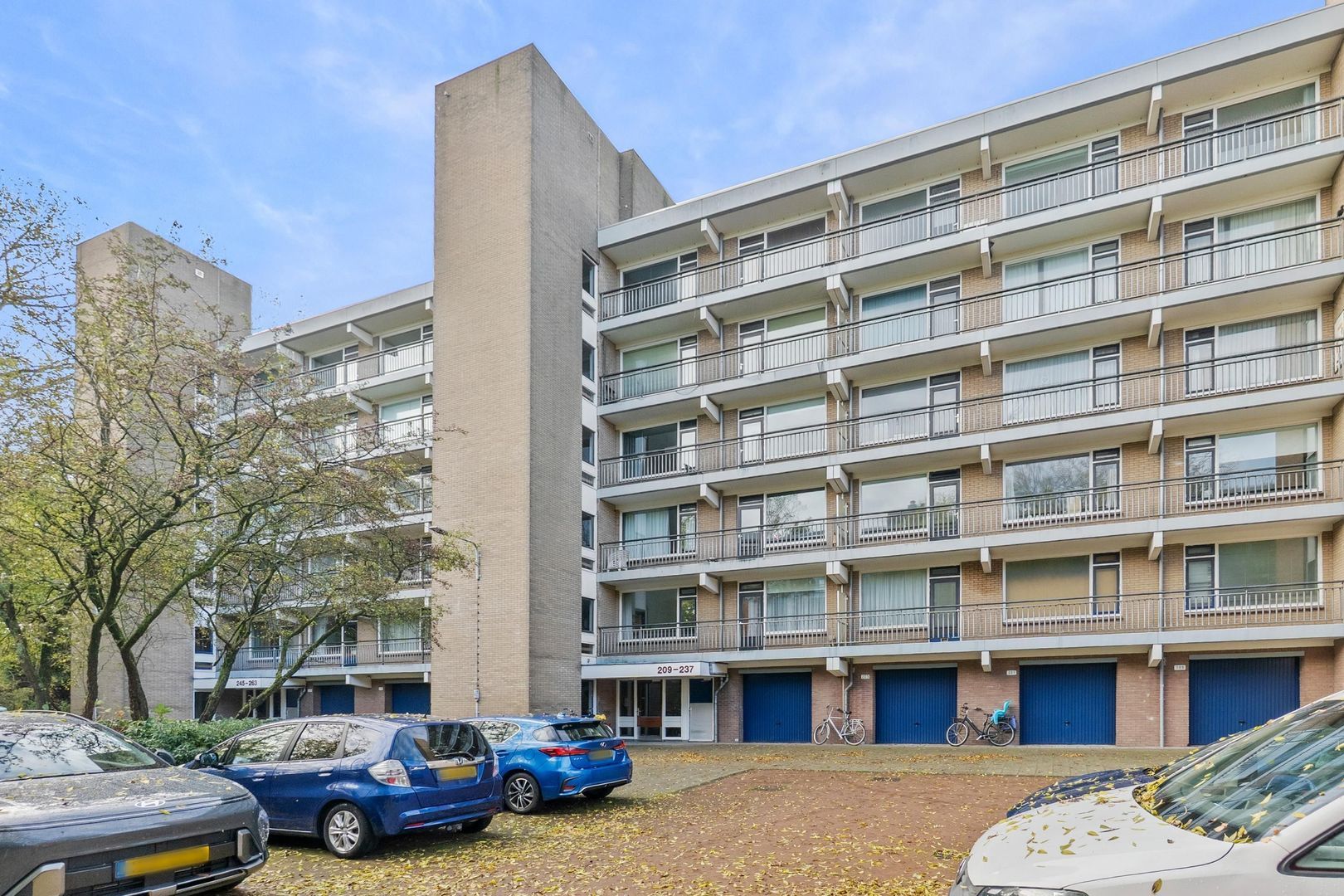 Boerhaavelaan 211, Leiden foto-4 blur