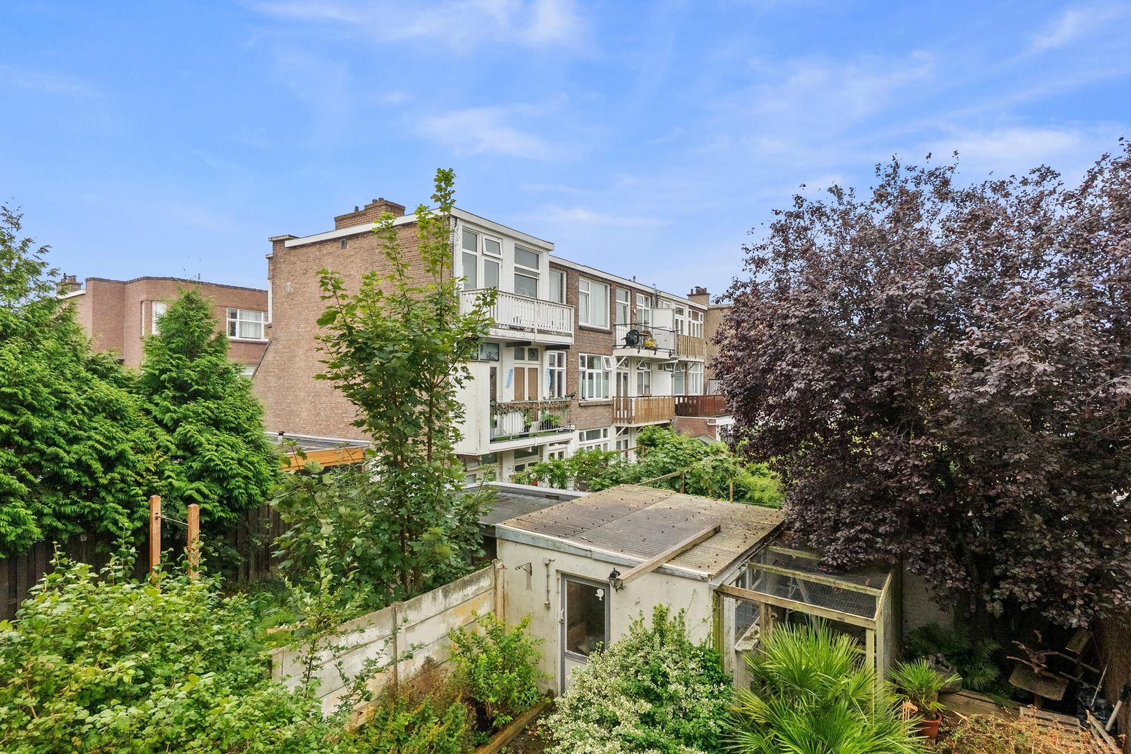 Laurierstraat 110, Den Haag foto-1 blur