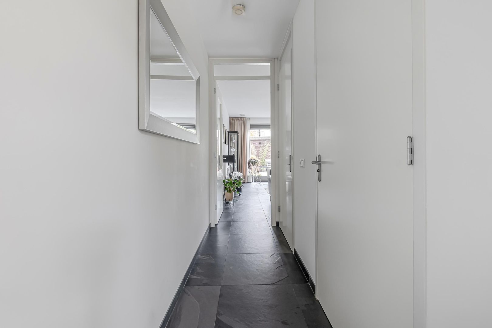 Vitruviusstraat 135, Leiden foto-10 blur