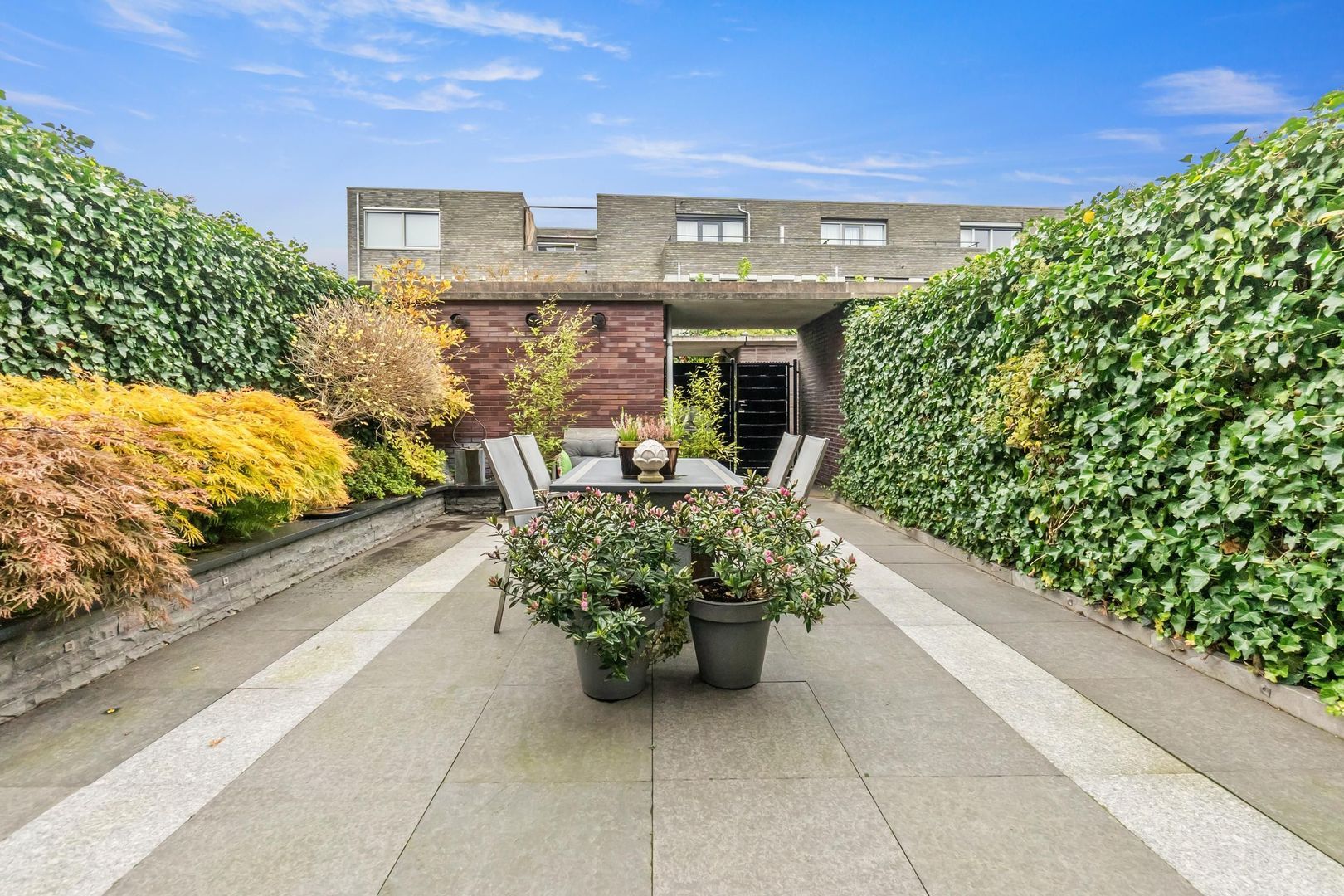 Vitruviusstraat 135, Leiden foto-15 blur