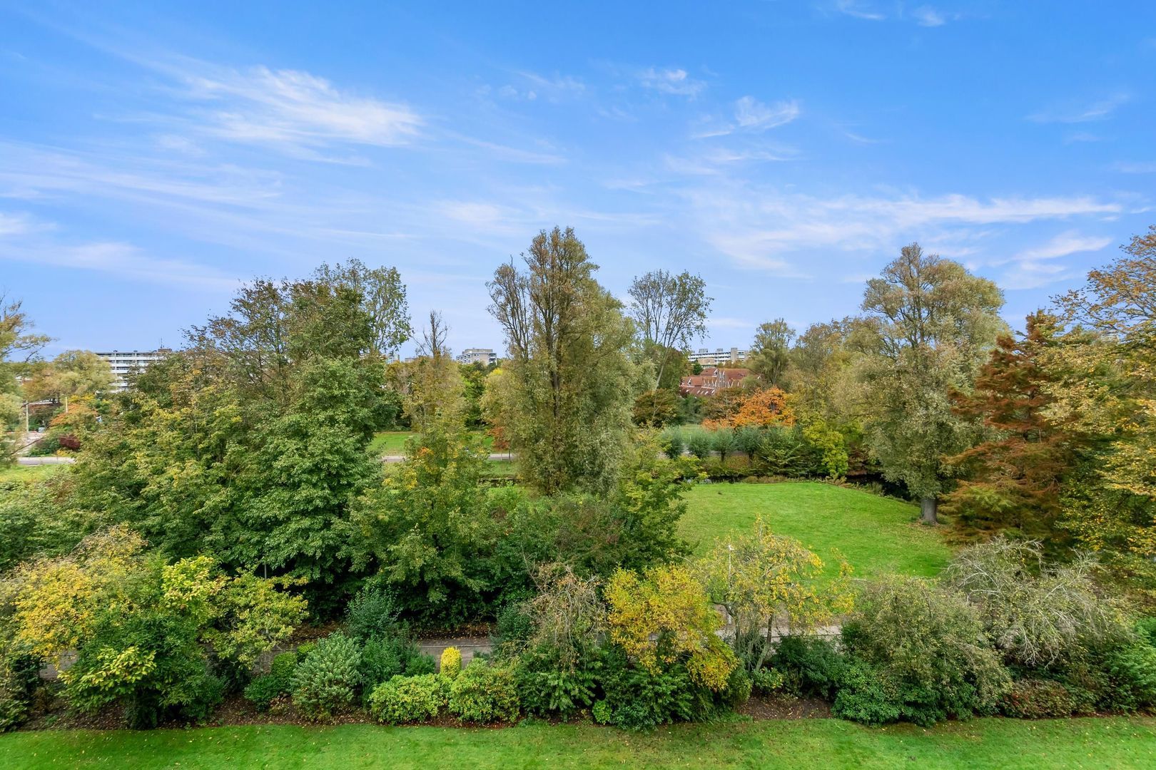 Cornelie van Zantenstraat 180, Den Haag foto-14 blur