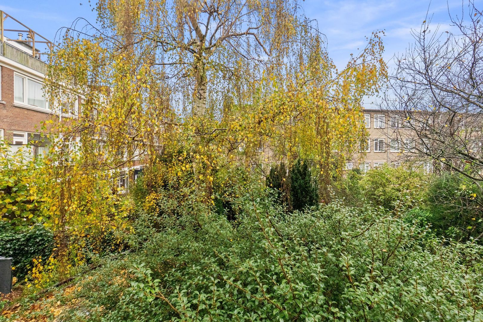 Lijsterbeslaan 84, Rijswijk foto-26 blur