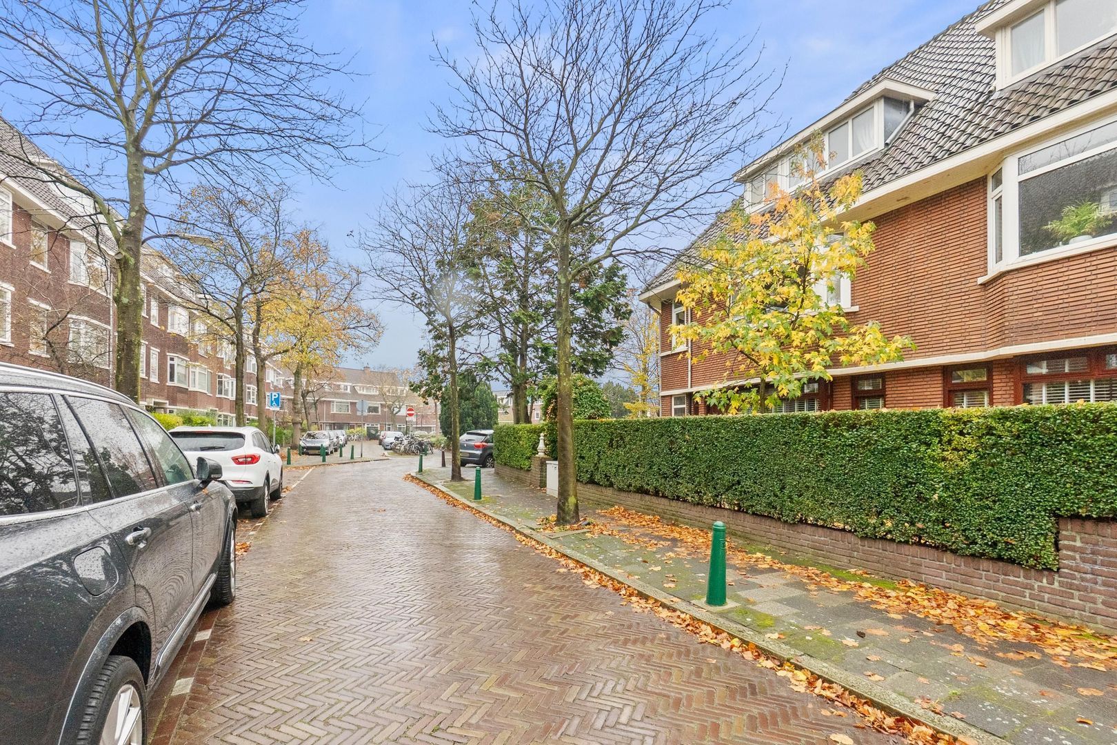 Lijsterbeslaan 84, Rijswijk foto-45 blur