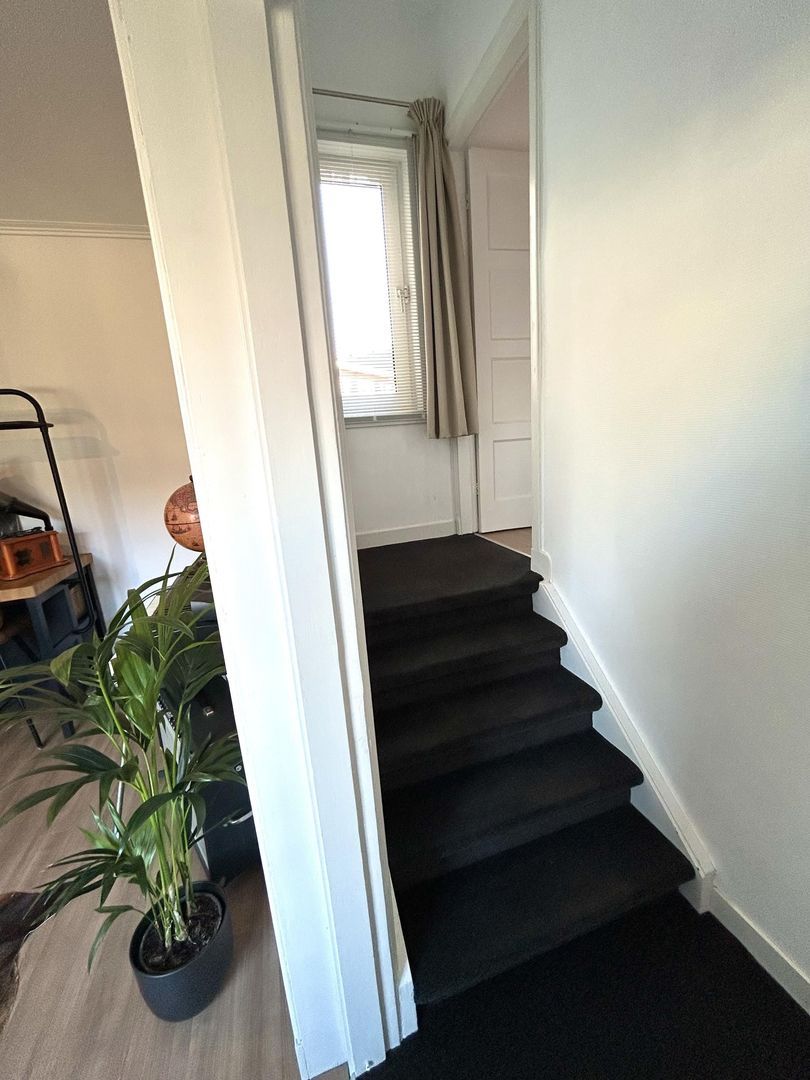 Jurriaan Kokstraat 164, Den Haag foto-48 blur