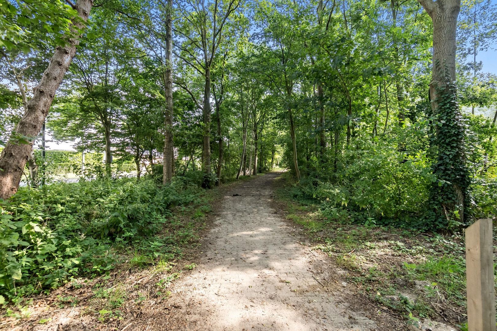 Oostmadeweg 5 A, Den Haag foto-88 blur