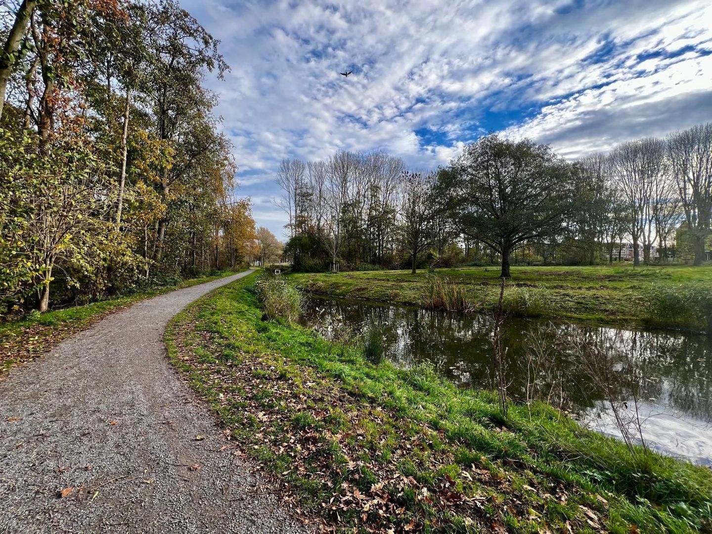 Oostmadeweg 5 A, Den Haag foto-91 blur