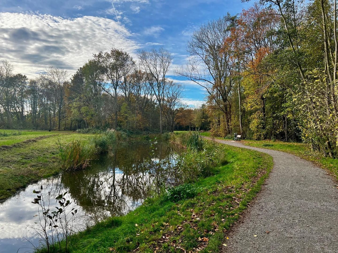 Oostmadeweg 5 A, Den Haag foto-90 blur