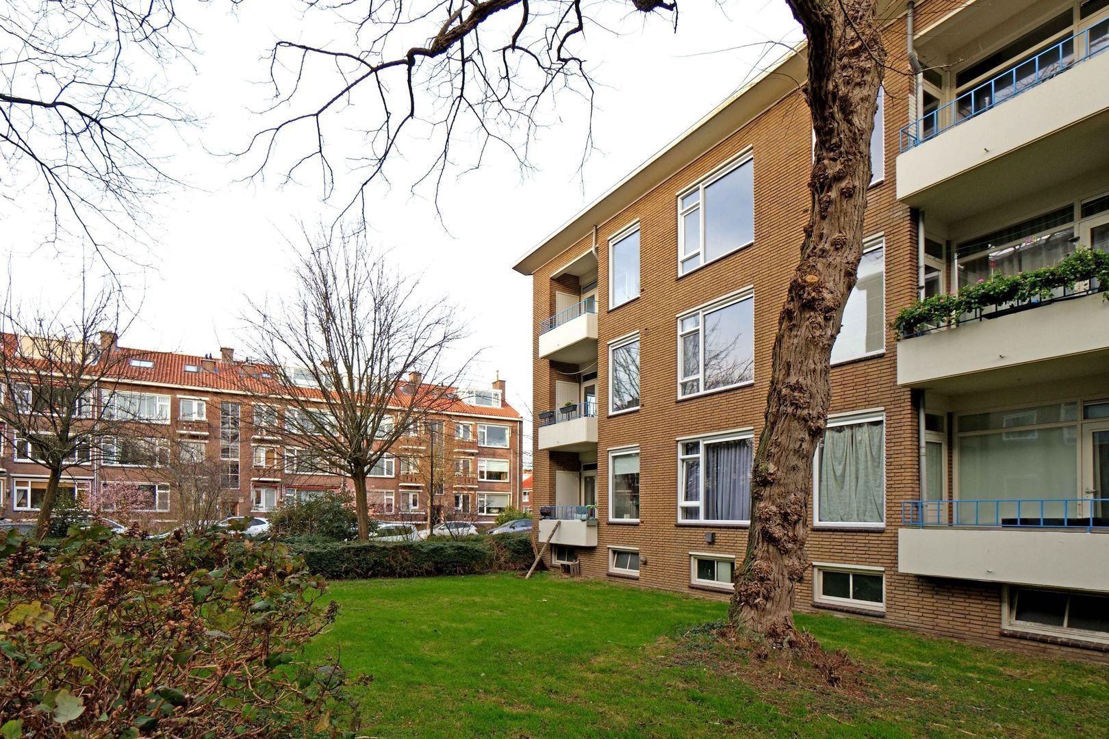 Queridostraat 55, Voorburg foto-17 blur