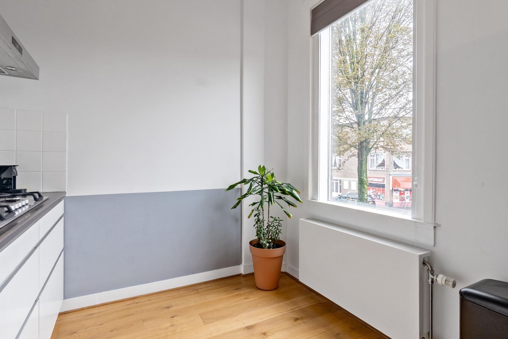 van Arembergelaan 45, Voorburg foto-13 blur